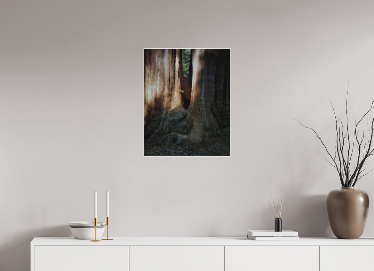20 x 25″, Bonded Acrylic White Frame Semper iuvenis