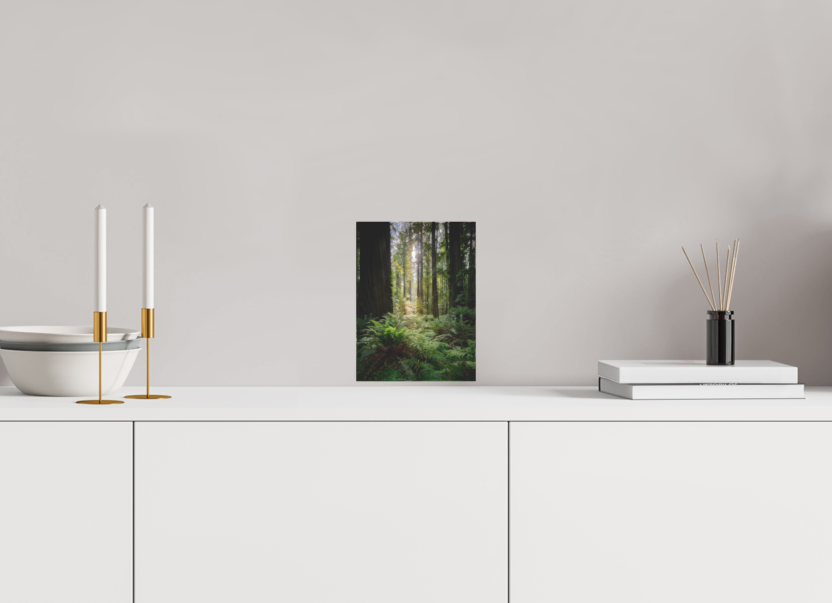 6 x 8″, Acrylic Block Gift Set Forest Light on Redwoods & Sword Ferns