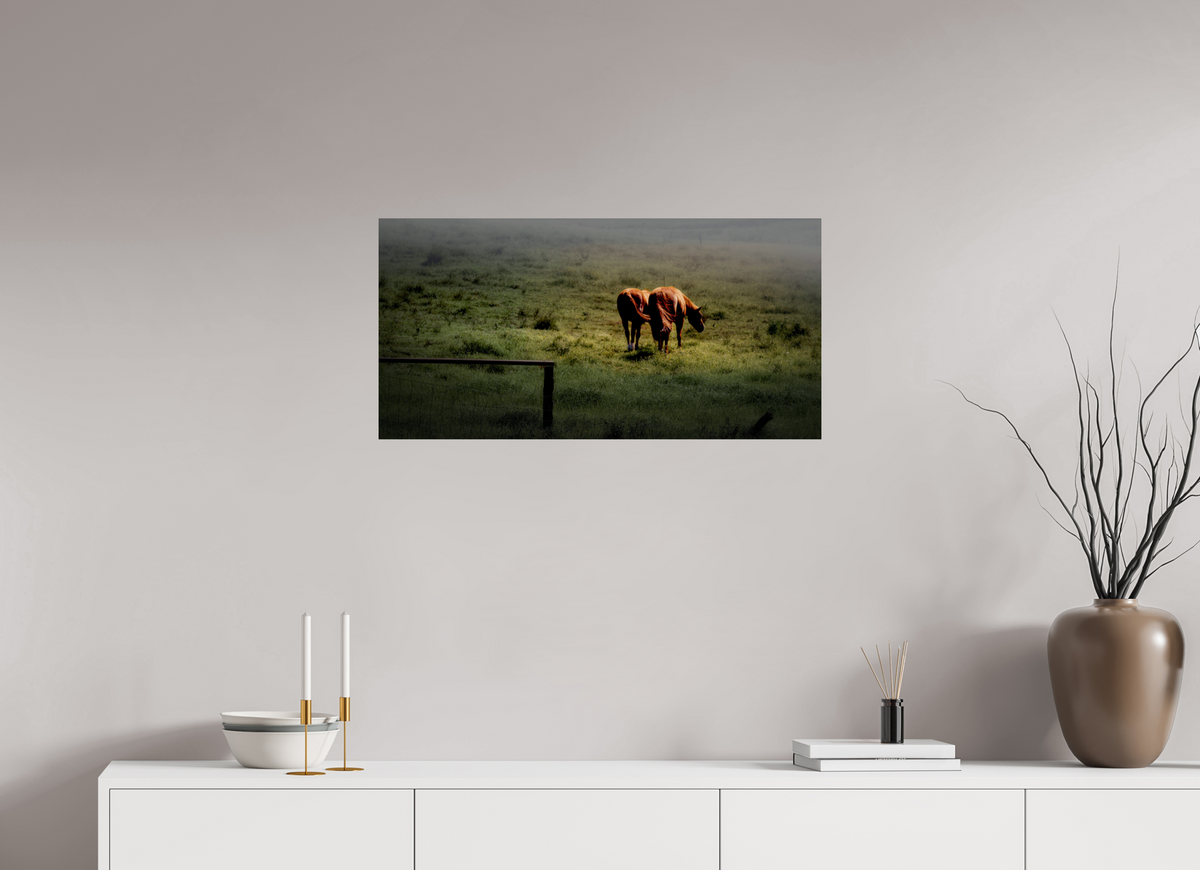 32 x 16″, Giclée Alu-Dibond Upcountry Maui: Horses in Mist & Light