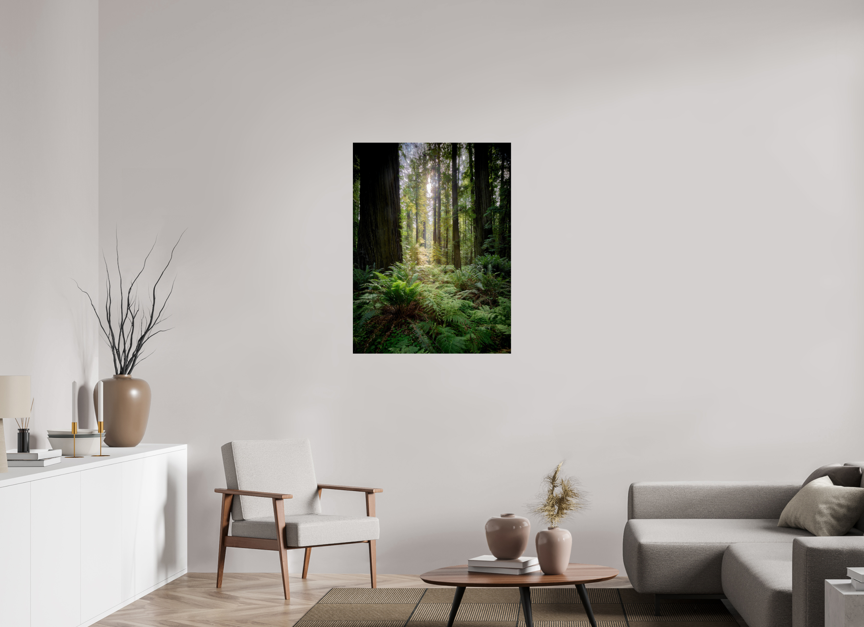 30 x 40″, Giclée Alu-Dibond Forest Light on Redwoods & Sword Ferns