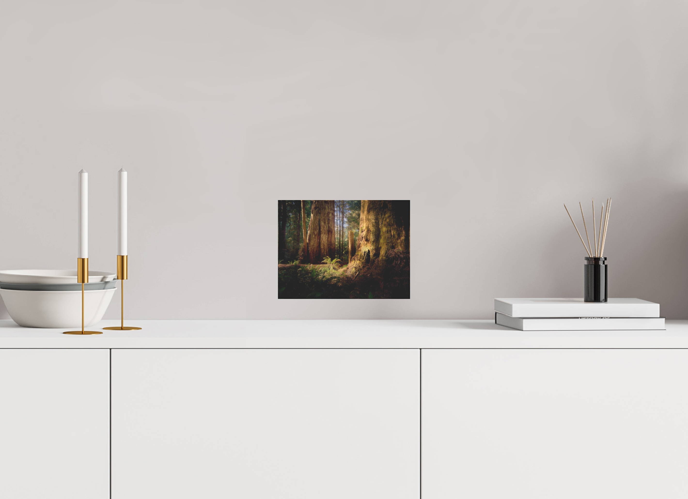 8 x 6″, Acrylic Block Gift Set Parvus: A Redwood Perspective