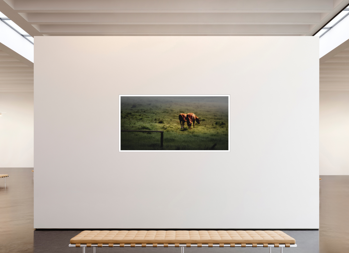 78 x 39″, Bonded Acrylic Mat + Black Frame Upcountry Maui: Horses in Mist & Light