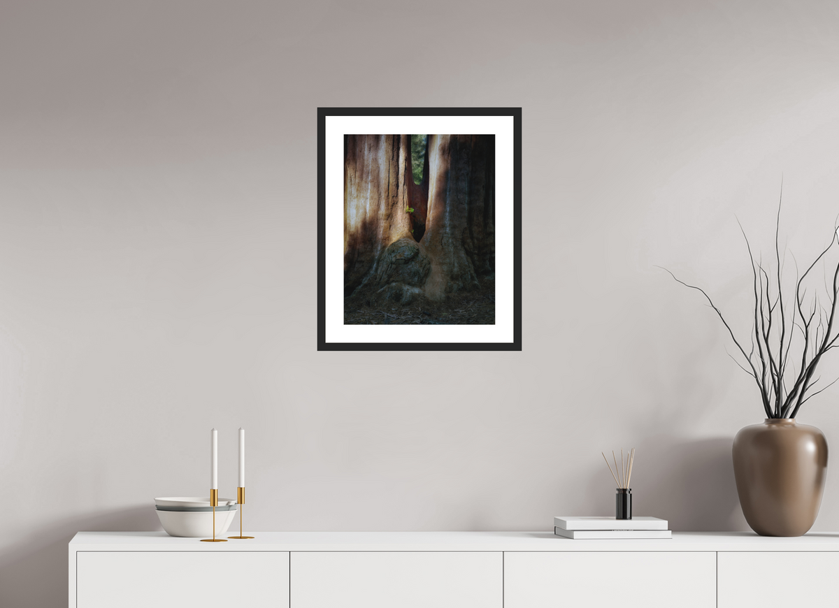 16 x 20″, Passe-Partout Black Frame Semper iuvenis