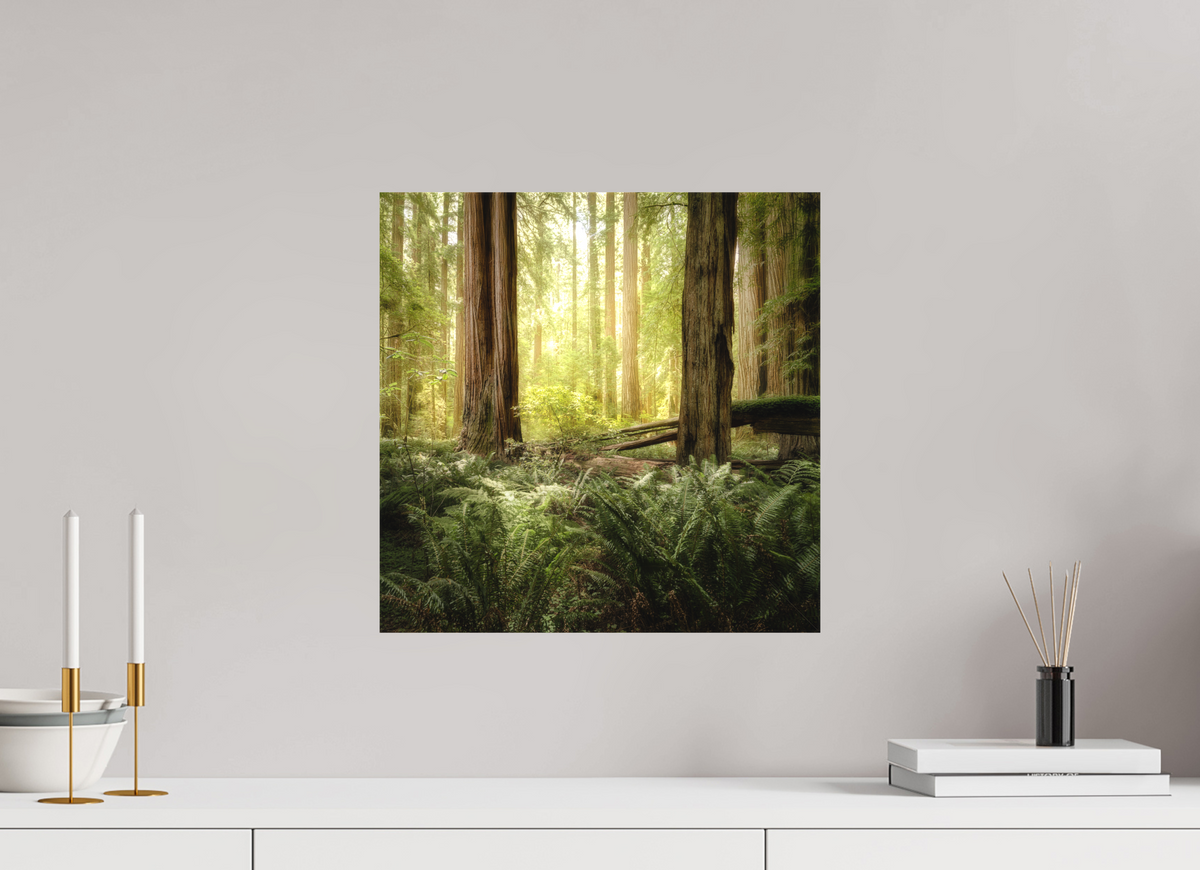 15 x 15″, Fine Art Textile Lux Armarium: Stout Grove