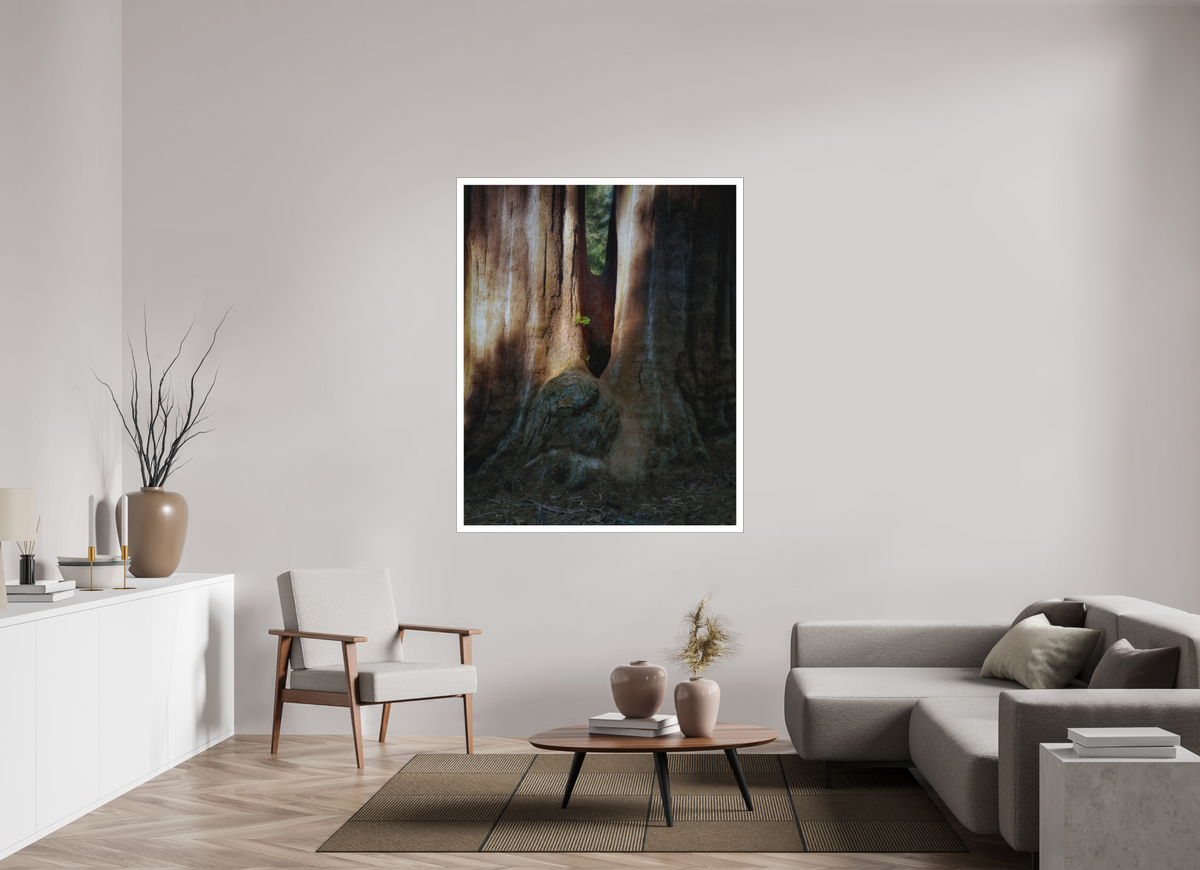 47 x 58.7″, Bonded Acrylic Mat + Black Frame Semper iuvenis