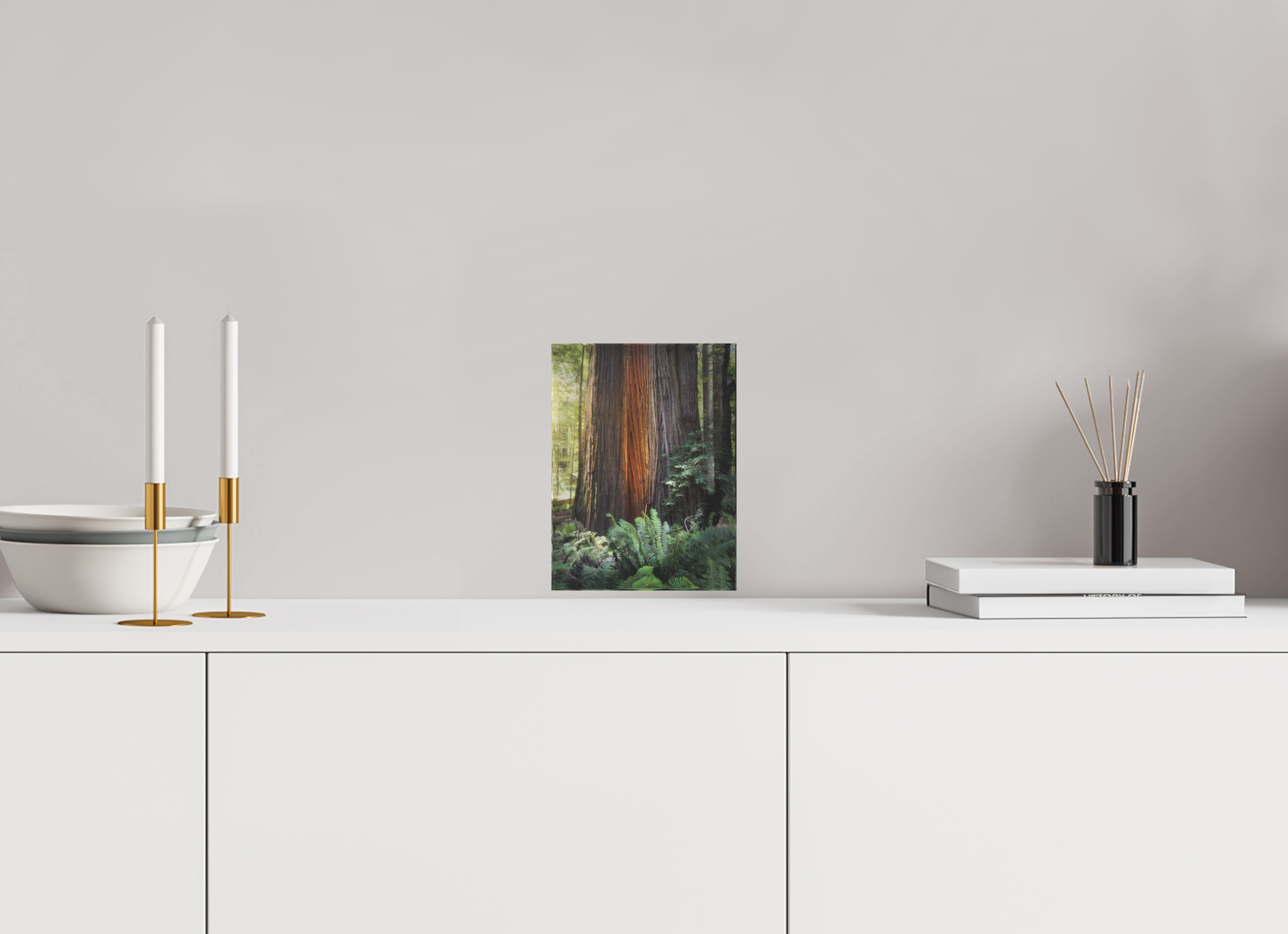 6 x 8″, Acrylic Block Gift Set Glow in the Tall Trees Grove