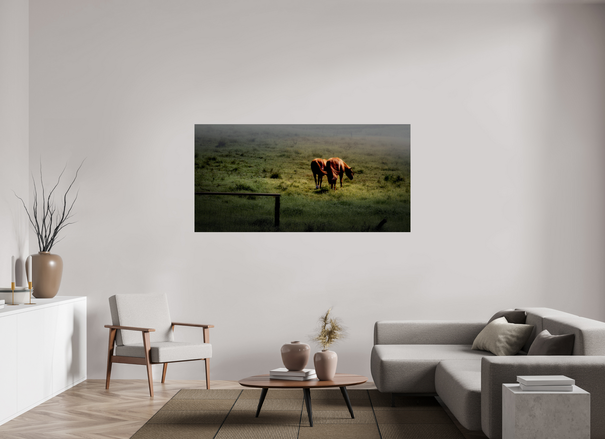 72 x 36″, Giclée Alu-Dibond Upcountry Maui: Horses in Mist & Light