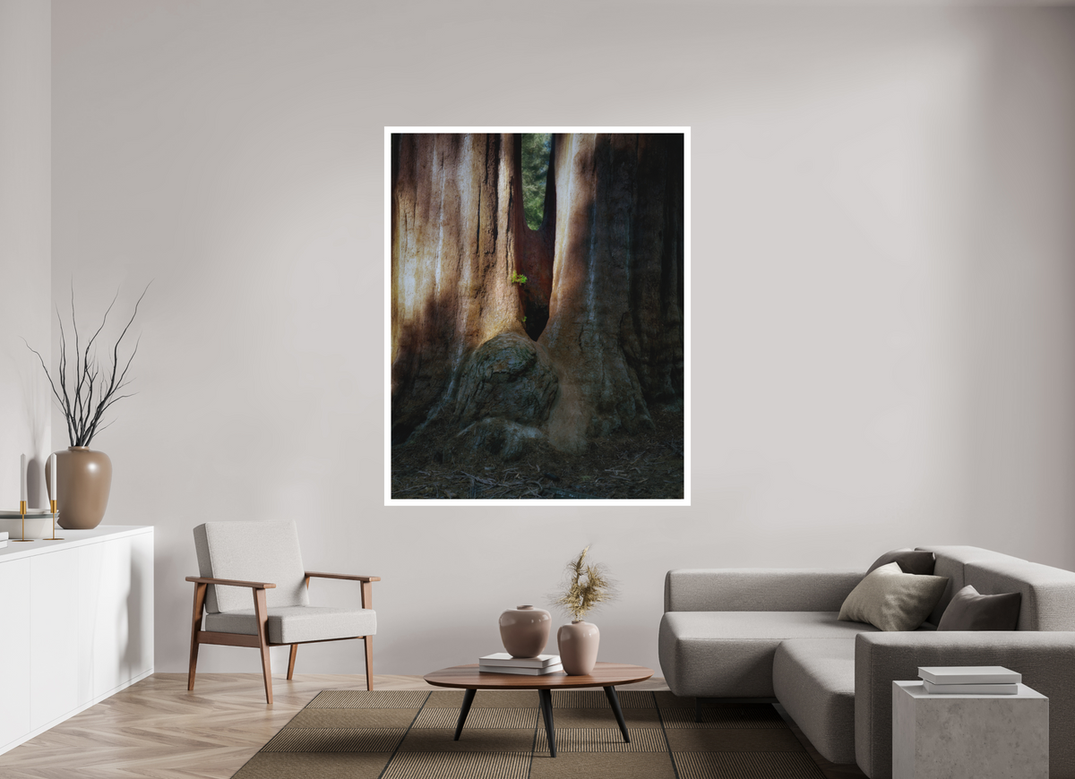 55 x 68.7″, Bonded Acrylic Mat + White Frame Semper iuvenis