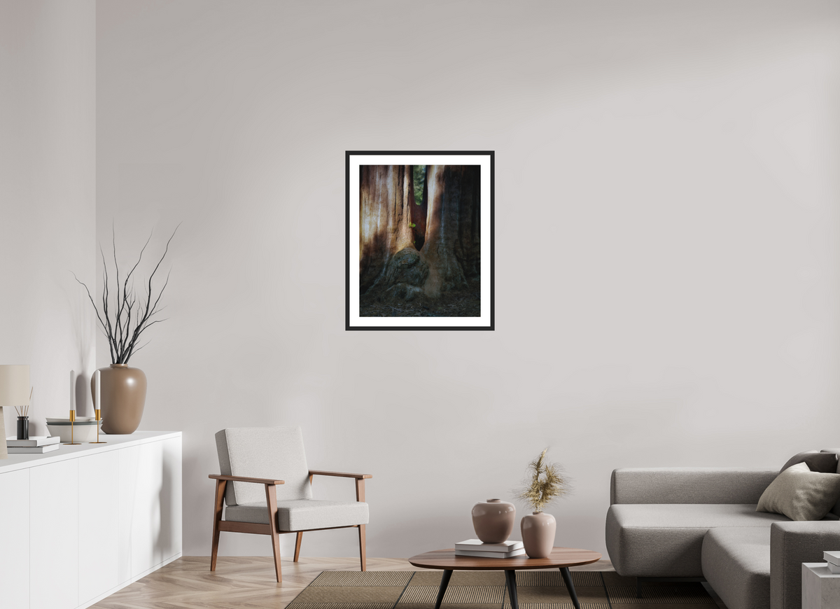 24 x 30″, Passe-Partout Black Frame Semper iuvenis