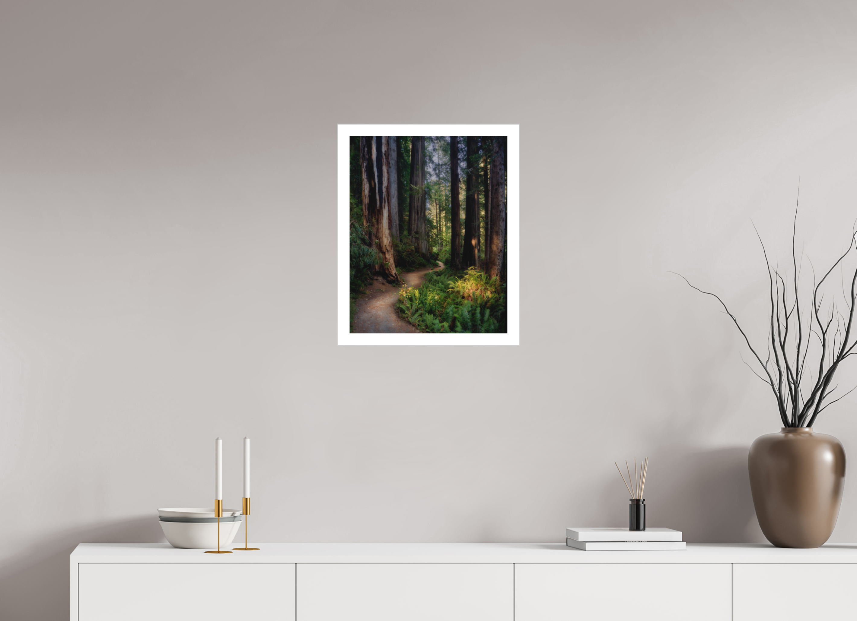 16 x 20″, Fine Art Bonded Acrylic Prairie Creek Redwoods Pathway