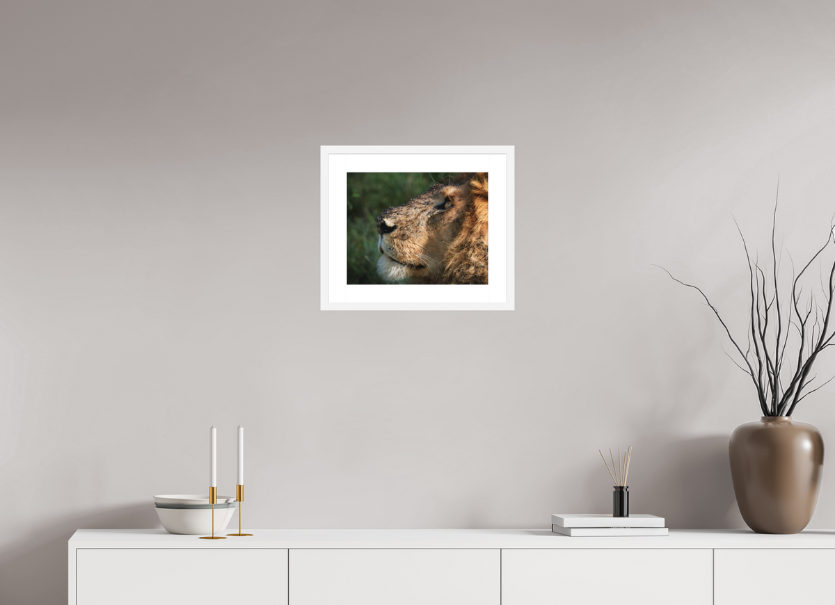 15 x 12″, Passe-Partout White Frame The King of Most Beasts