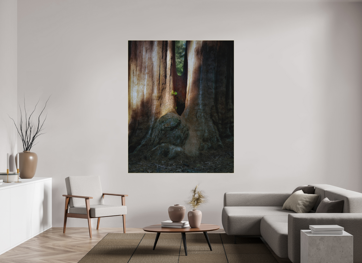 59 x 73.7″, Bonded Acrylic Gold Frame Semper iuvenis