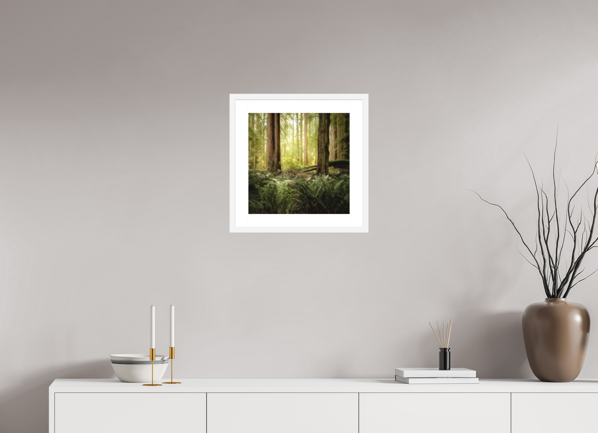 15 x 15″, Passe-Partout White Frame Lux Armarium: Stout Grove