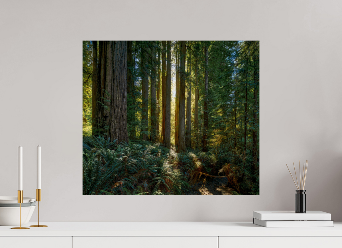 22.9 x 20″, Giclée Alu-Dibond Gateway