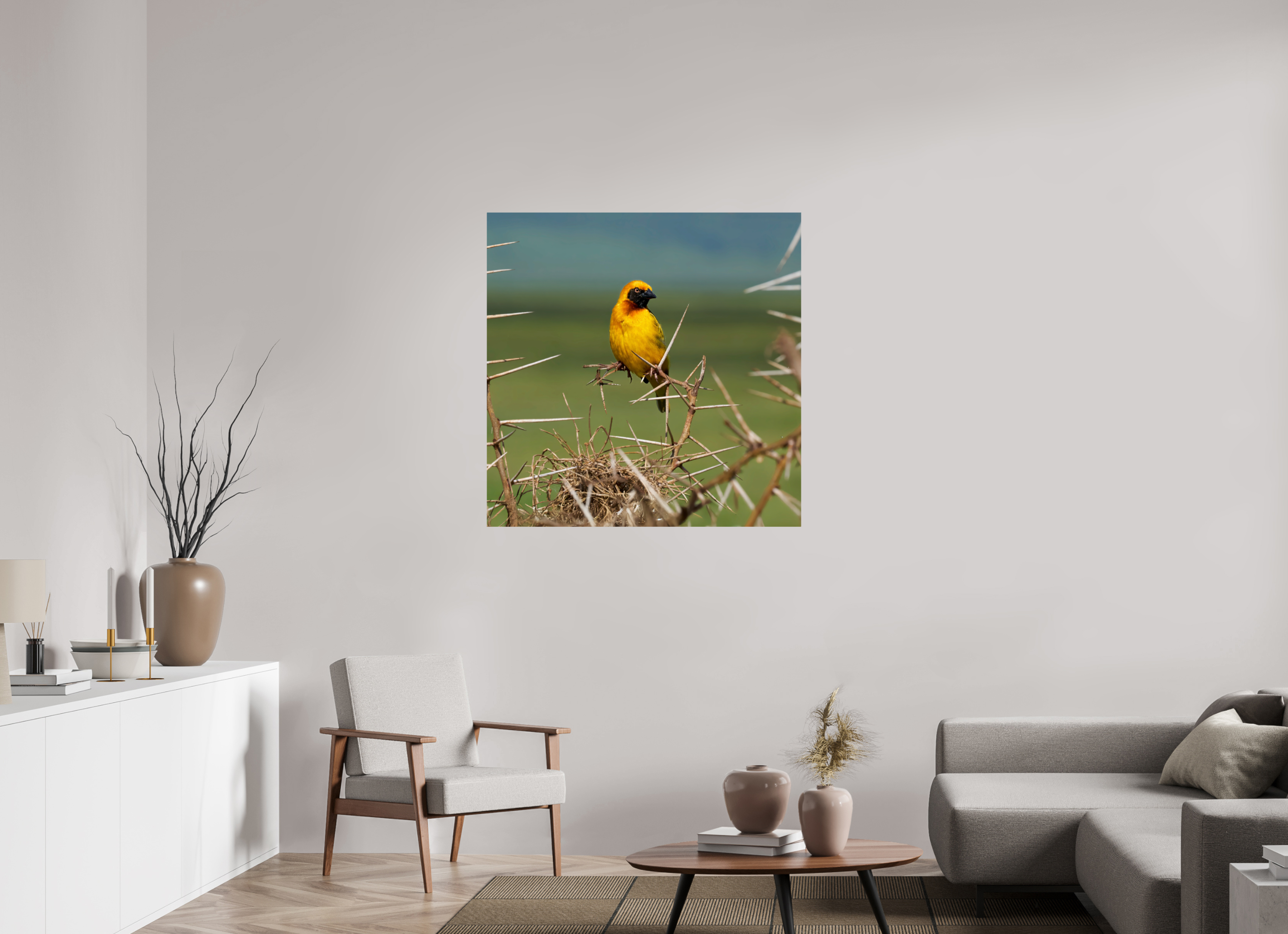 40 x 40″, Giclée Alu-Dibond Afrcan Golden Weaver