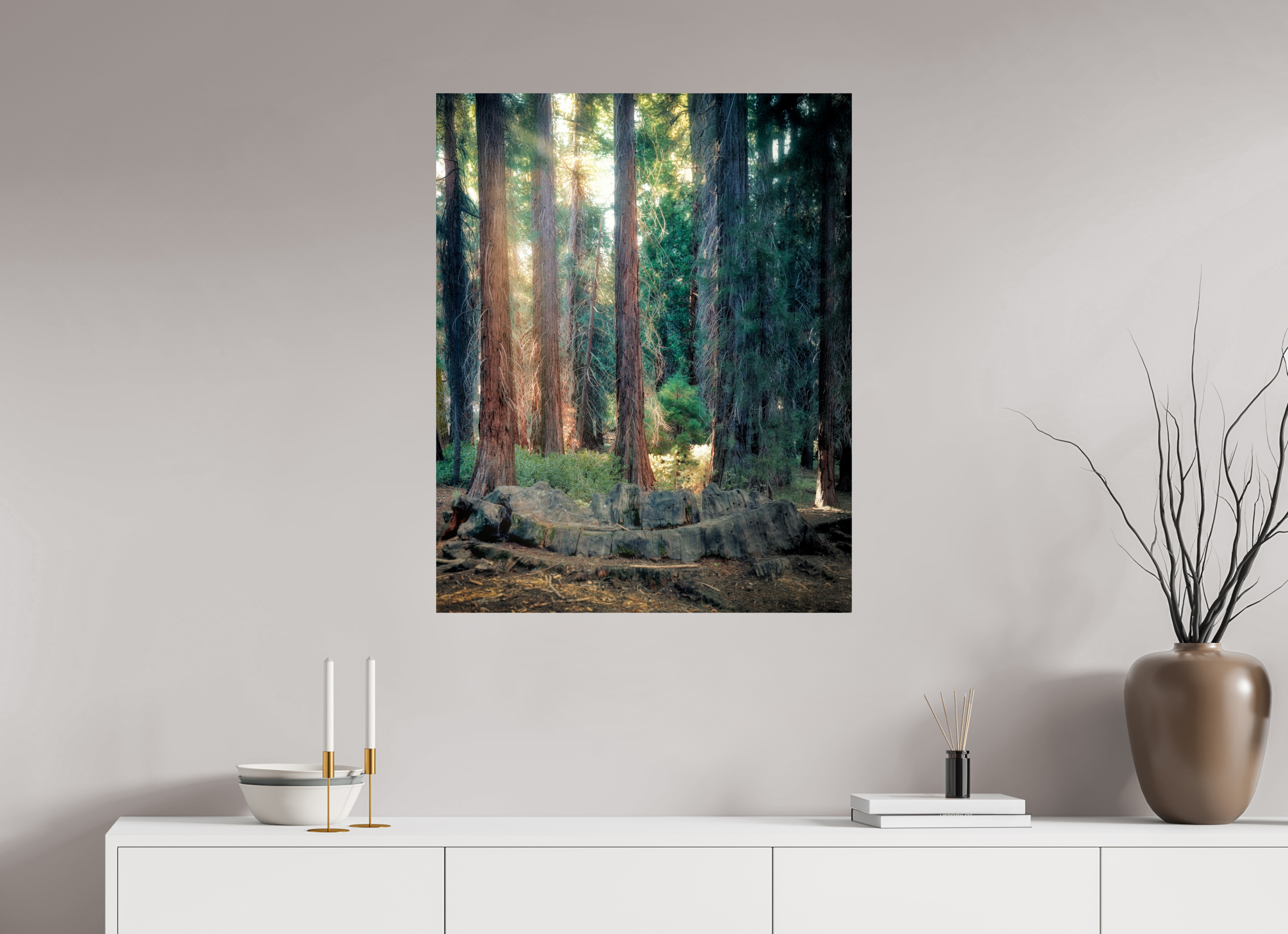 28 x 35″, Giclée Alu-Dibond Never Again: The Centennial Stump