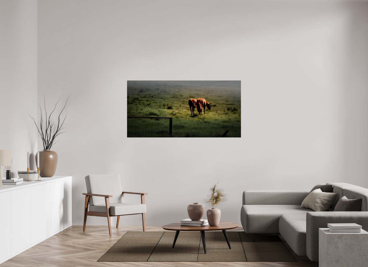 64 x 32″, Giclée Alu-Dibond Upcountry Maui: Horses in Mist & Light