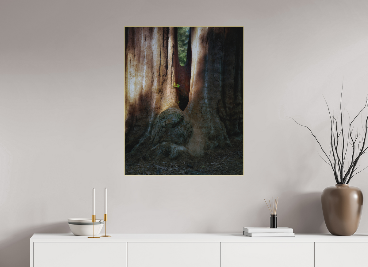 28 x 35″, Bonded Acrylic Gold Frame Semper iuvenis