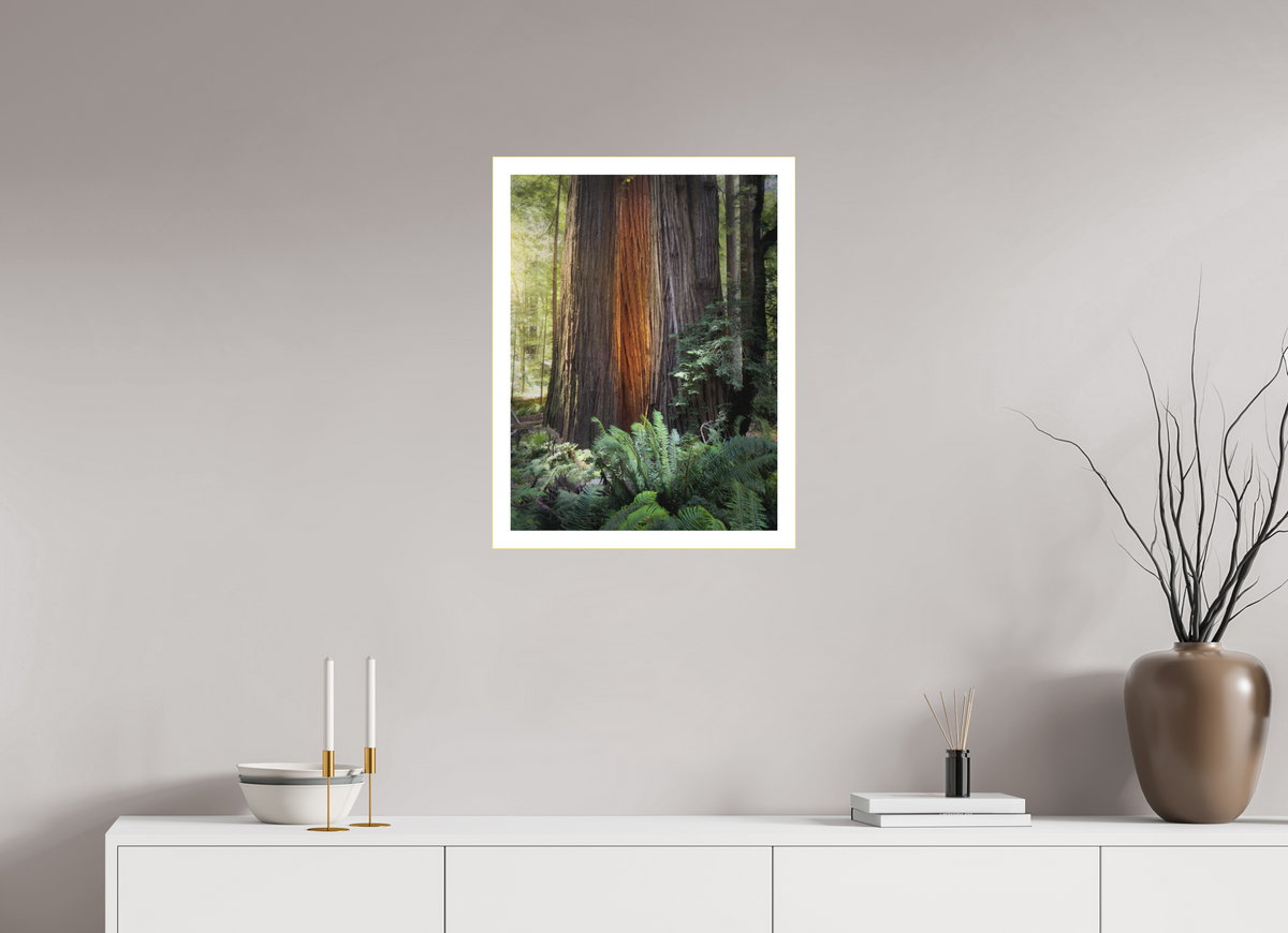18 x 24″, Bonded Acrylic Mat + Gold Frame Glow in the Tall Trees Grove