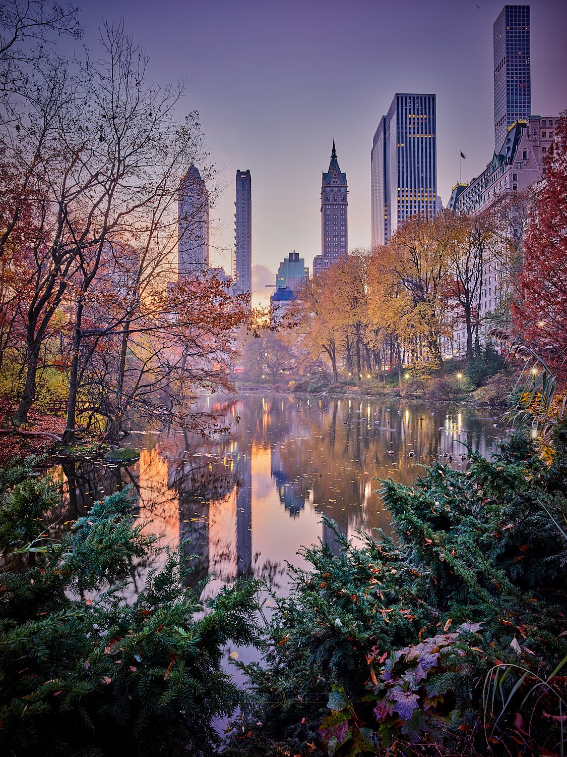 “I recall Central Park in fall . . . “