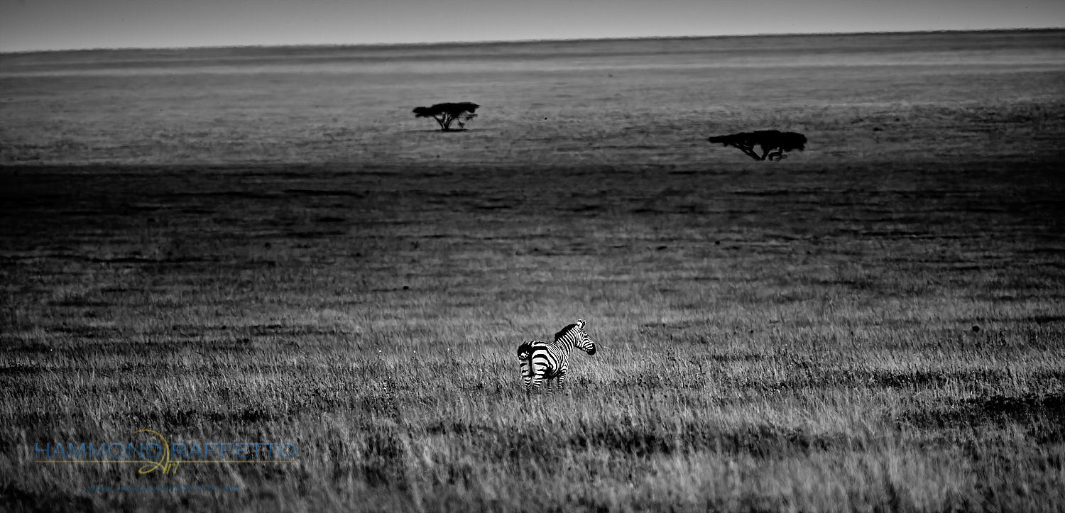 No Place To Be Out Alone