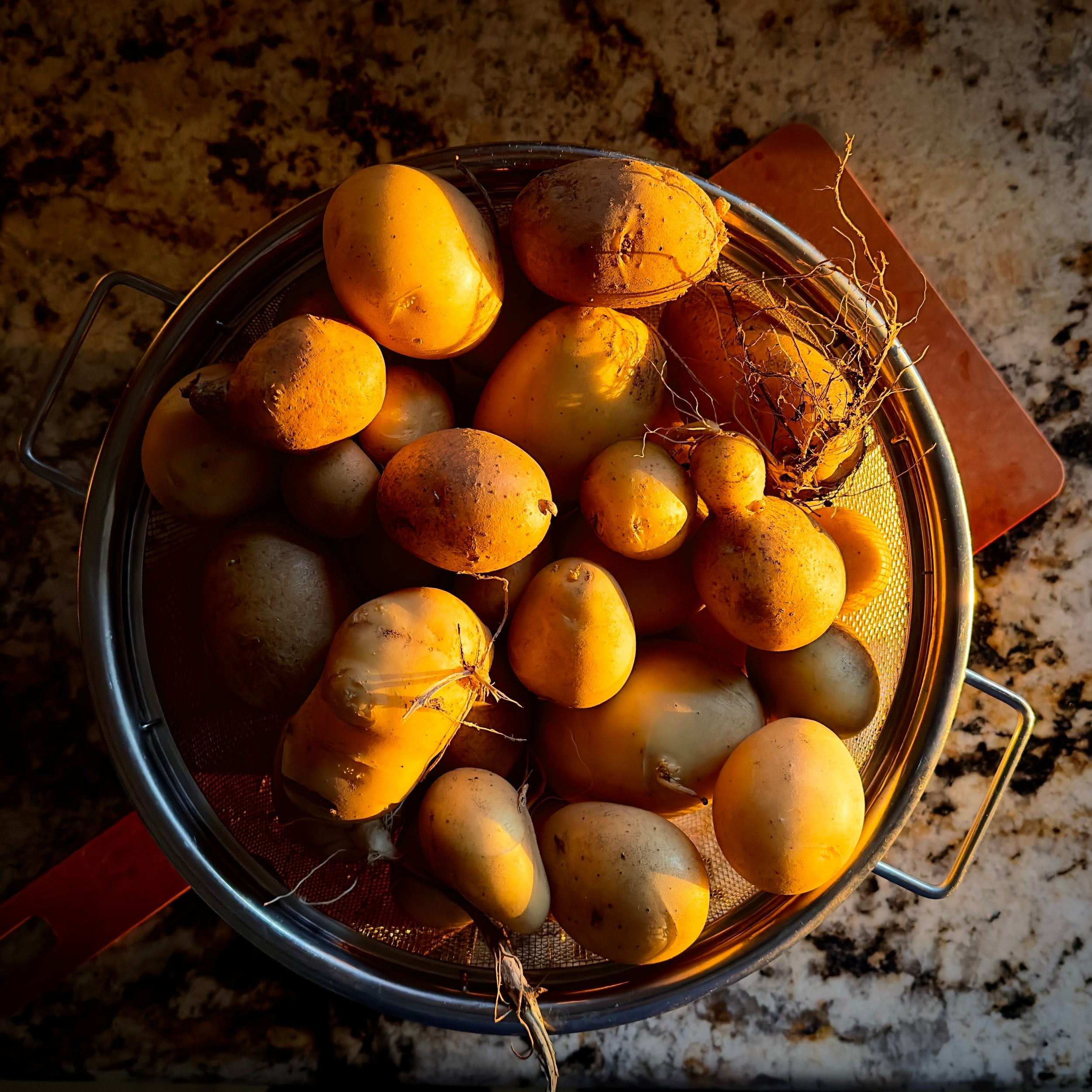 Potatoes &amp; Light