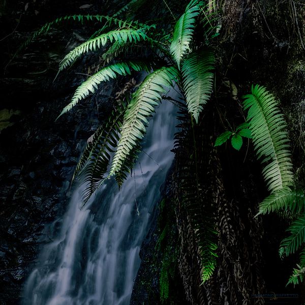 Tiptoe Falls