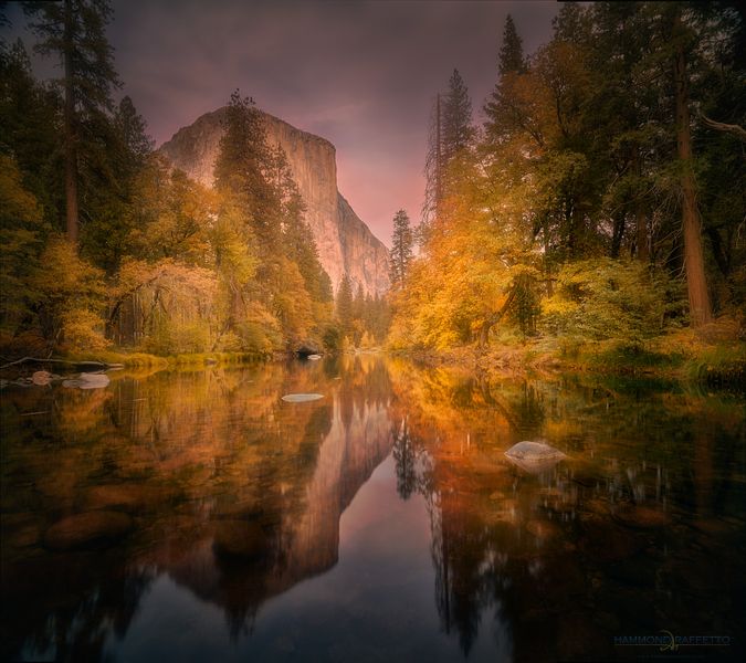 Late Afternoon Serenity