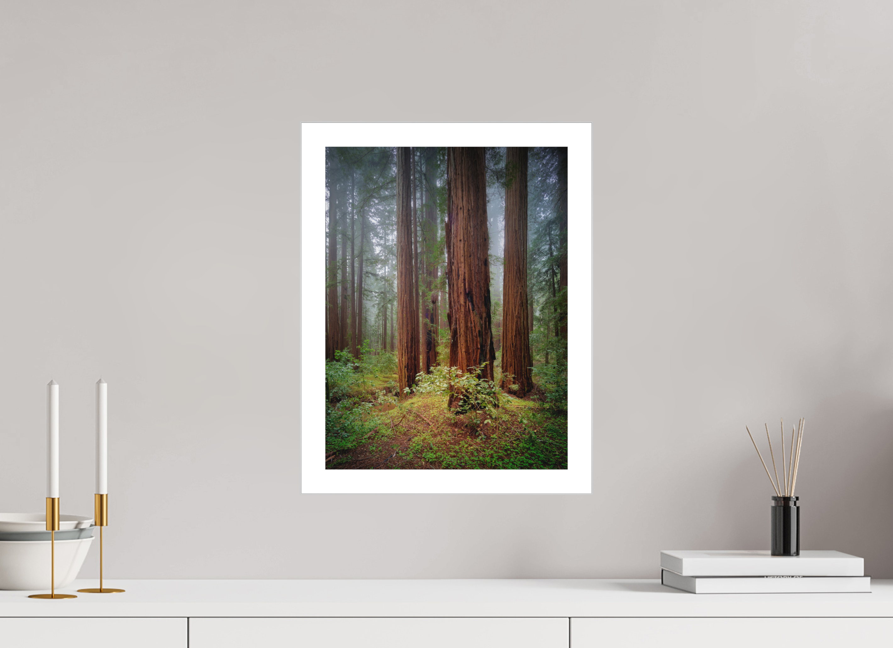 12 x 16″, Fine Art Bonded Acrylic Armstrong Redwoods I: Truncus Circle of Life