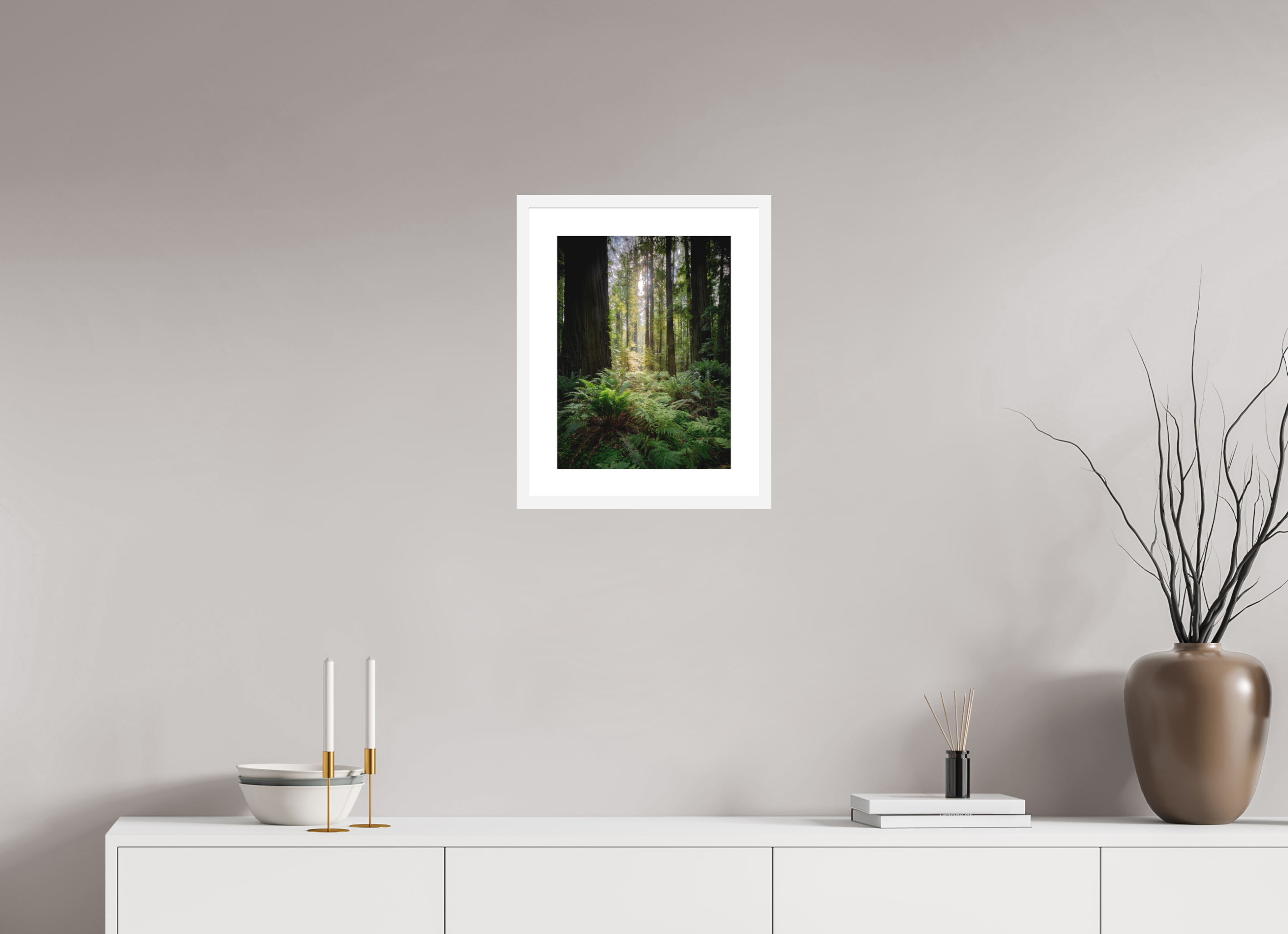 12 x 16″, Passe-Partout White Frame Forest Light on Redwoods & Sword Ferns
