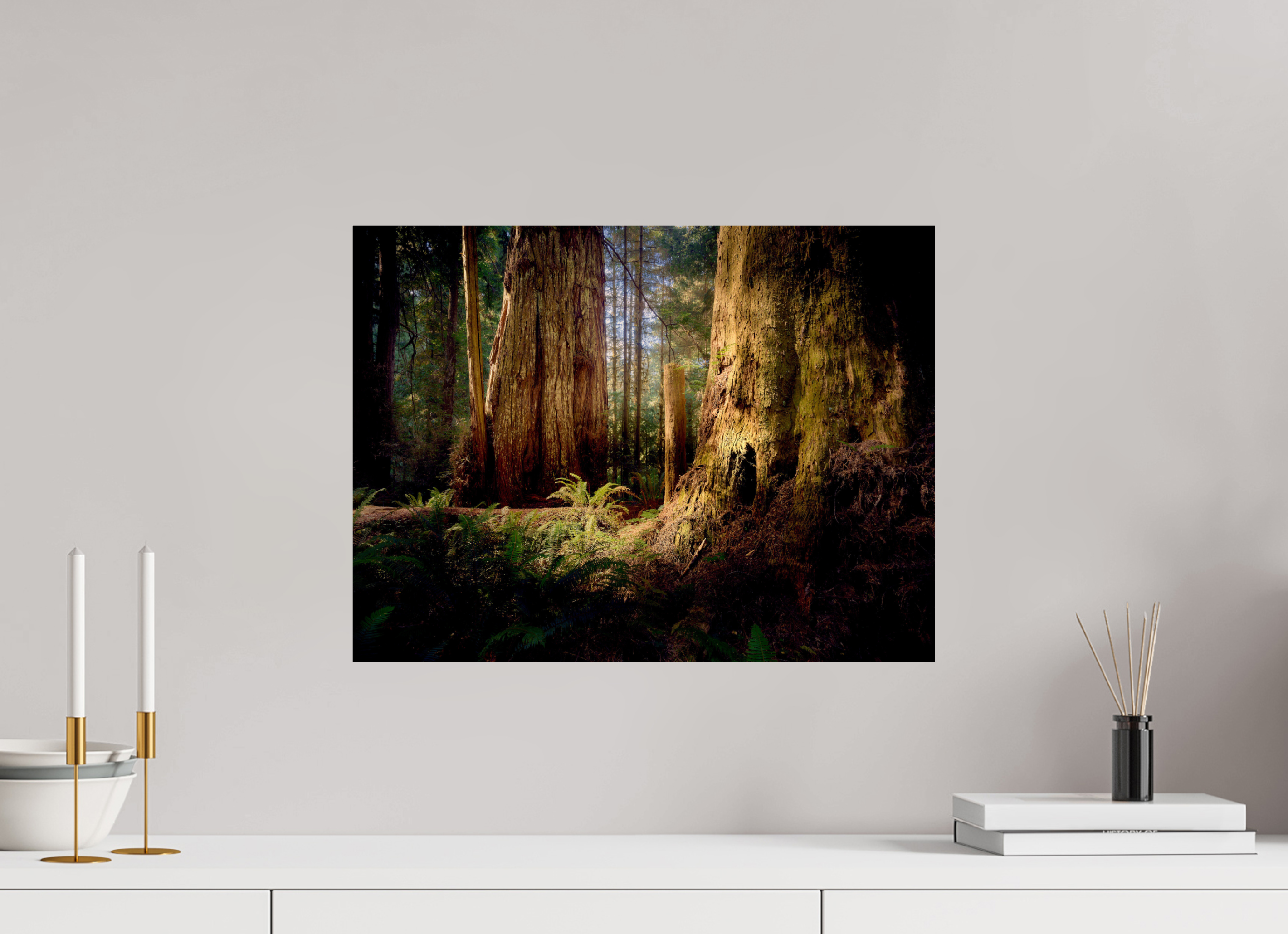 20 x 15″, Giclée Alu-Dibond Parvus: A Redwood Perspective
