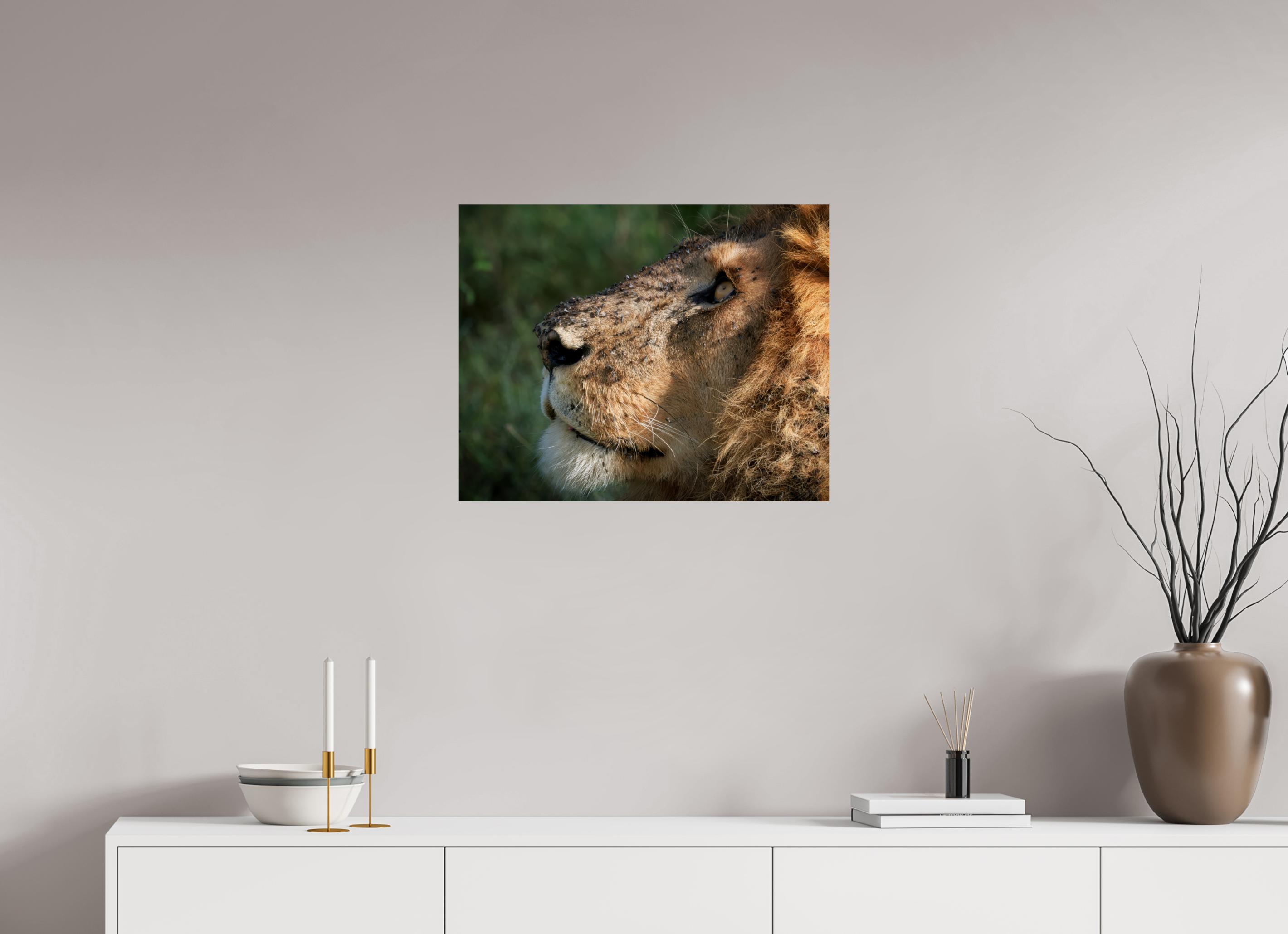 25 x 20″, Giclée Alu-Dibond The King of Most Beasts