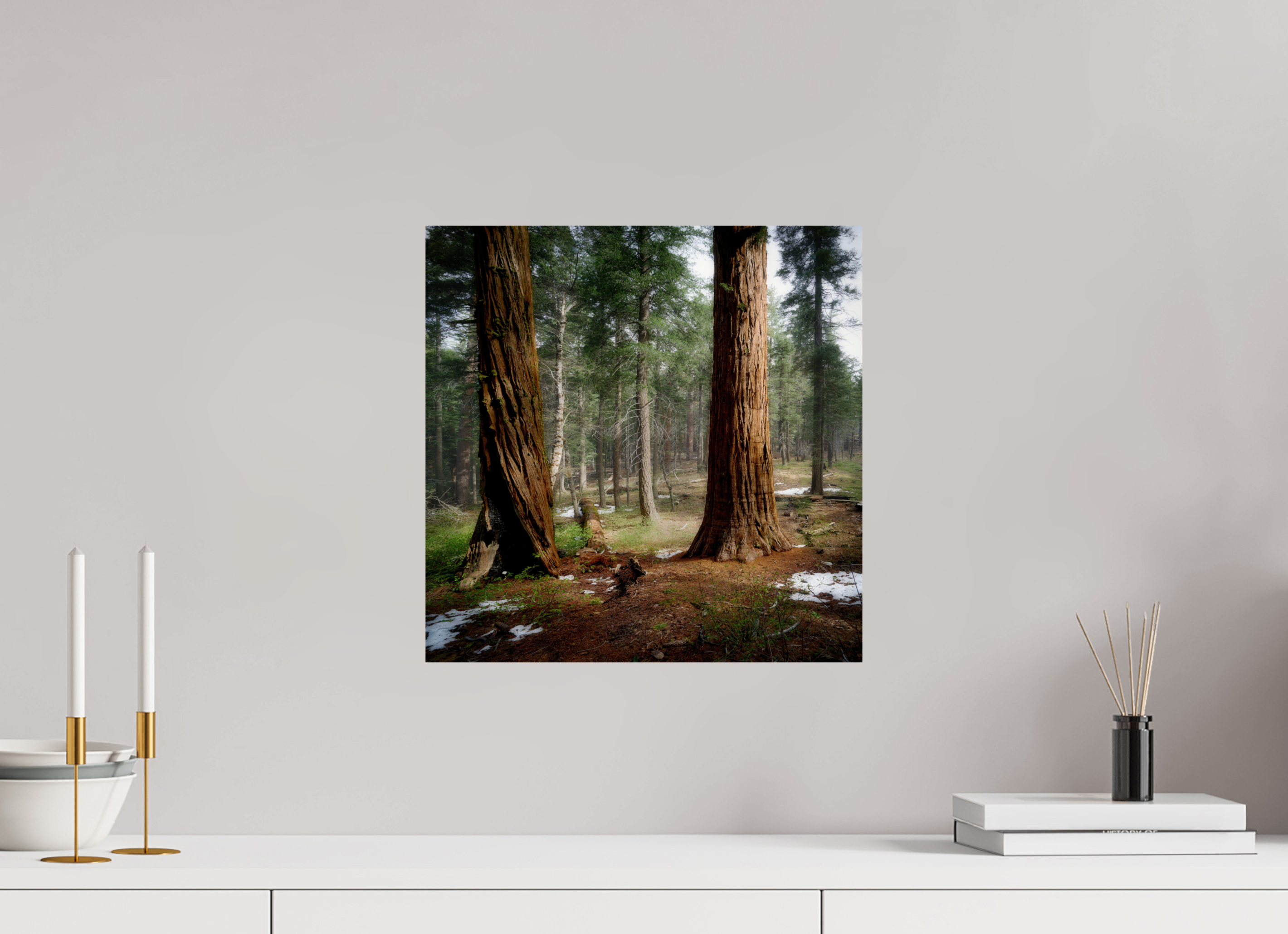 15 x 15″, Giclée Alu-Dibond Northern Sentinels II: The Placer County Sequoias