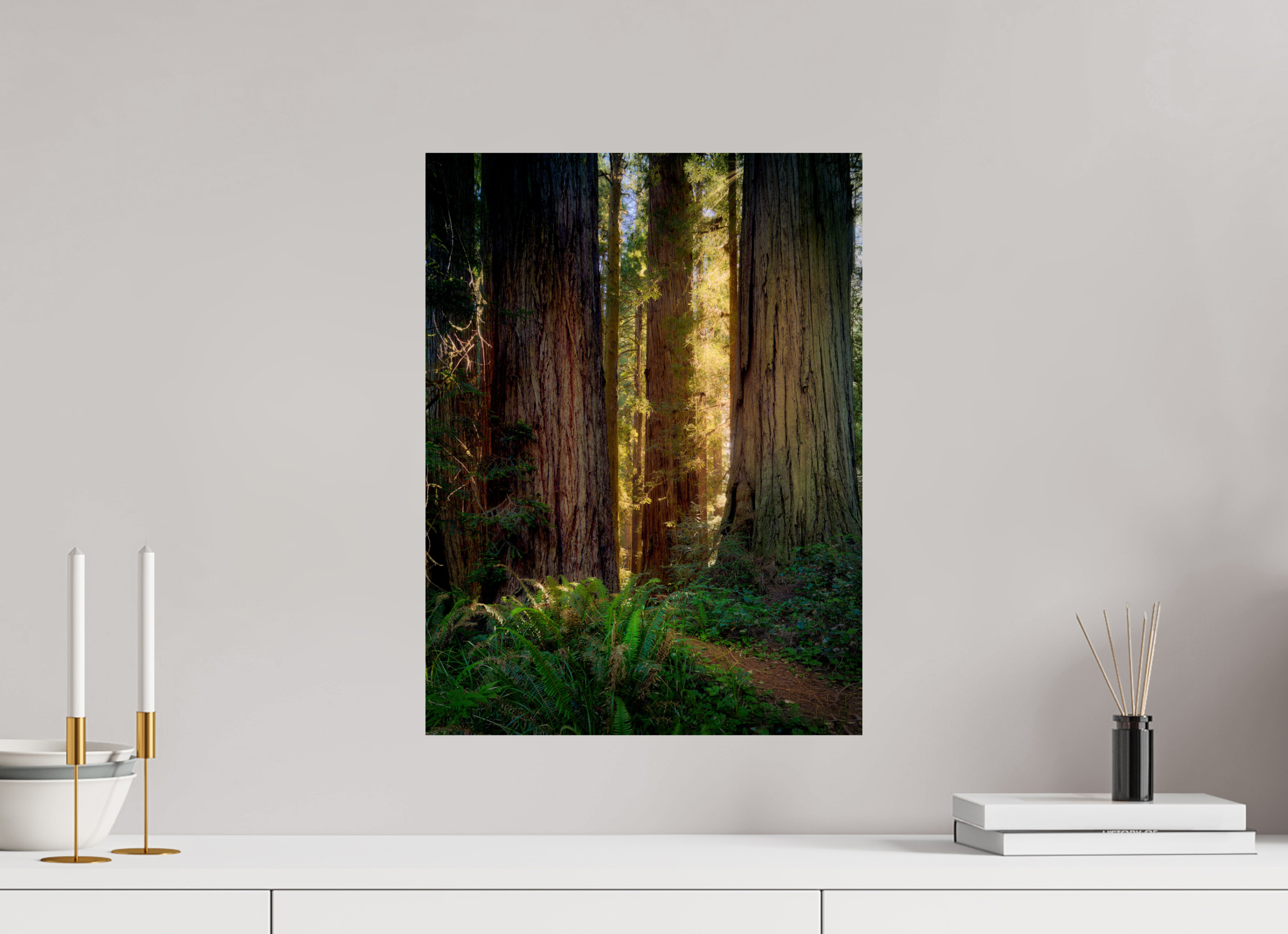 15 x 20″, Giclée Alu-Dibond Novaculata: Back to the Redwoods