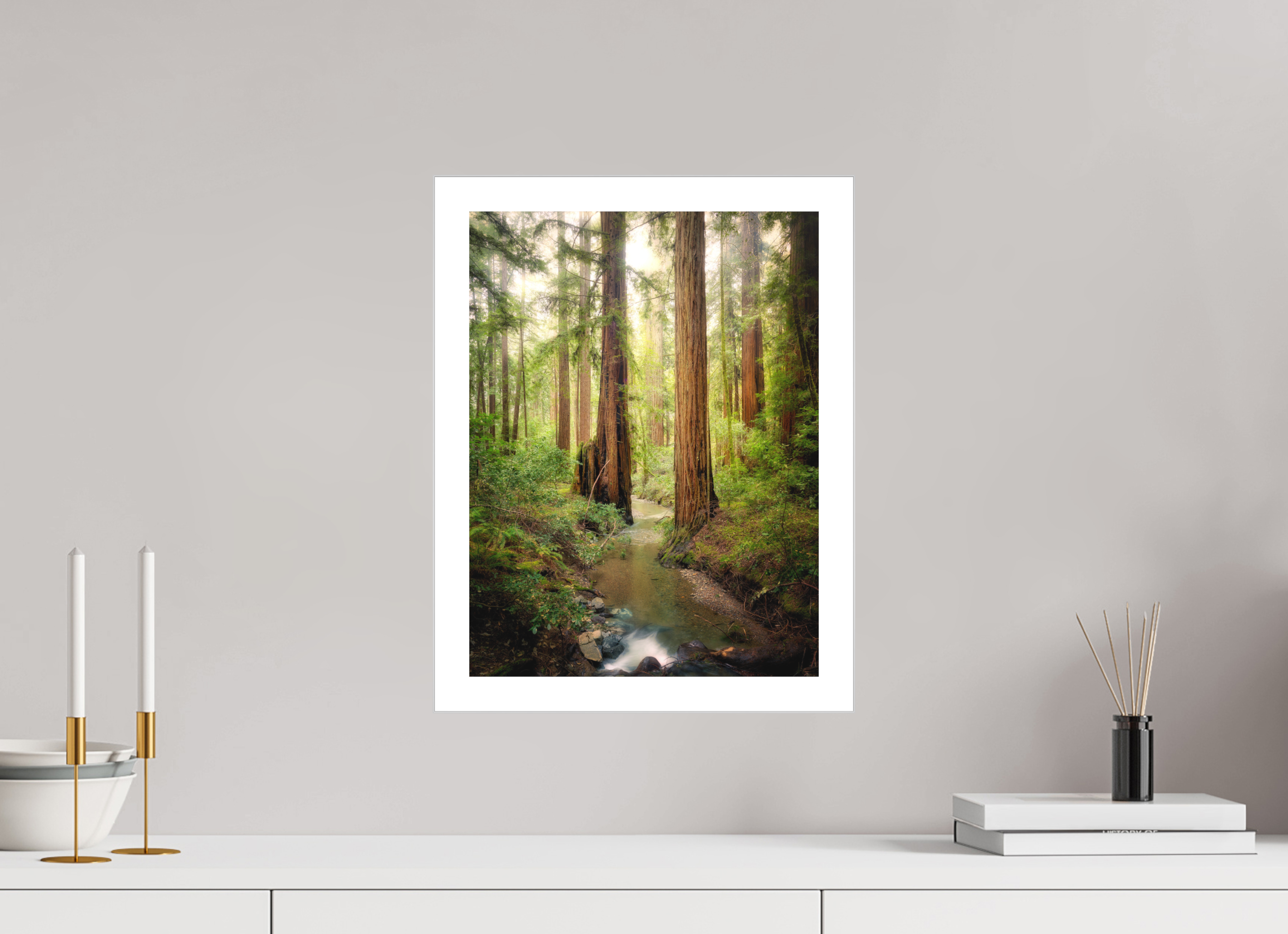12 x 16″, Fine Art Bonded Acrylic Armstrong Woods III: Columnas