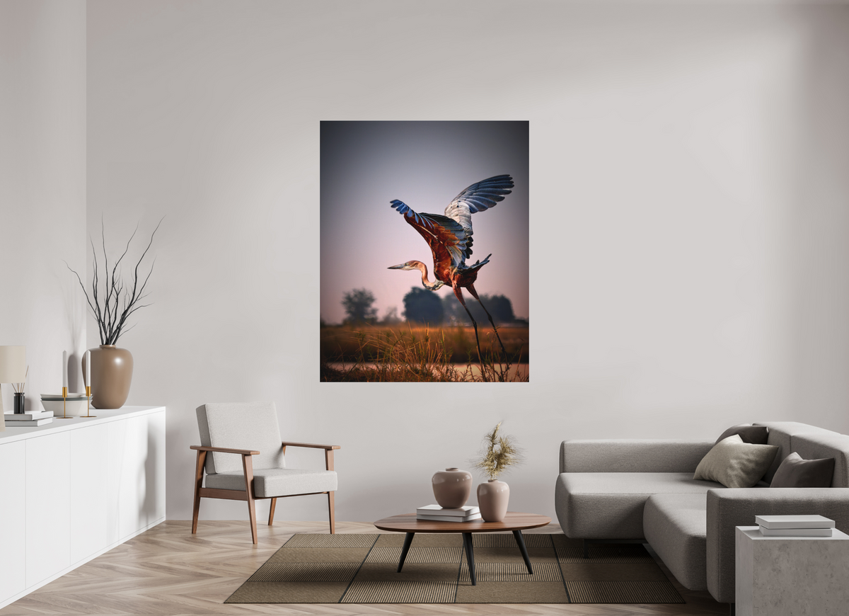 51 x 63.7″, Bonded Acrylic Silver Frame Goliath Heron Takes Flight on the Chobe River