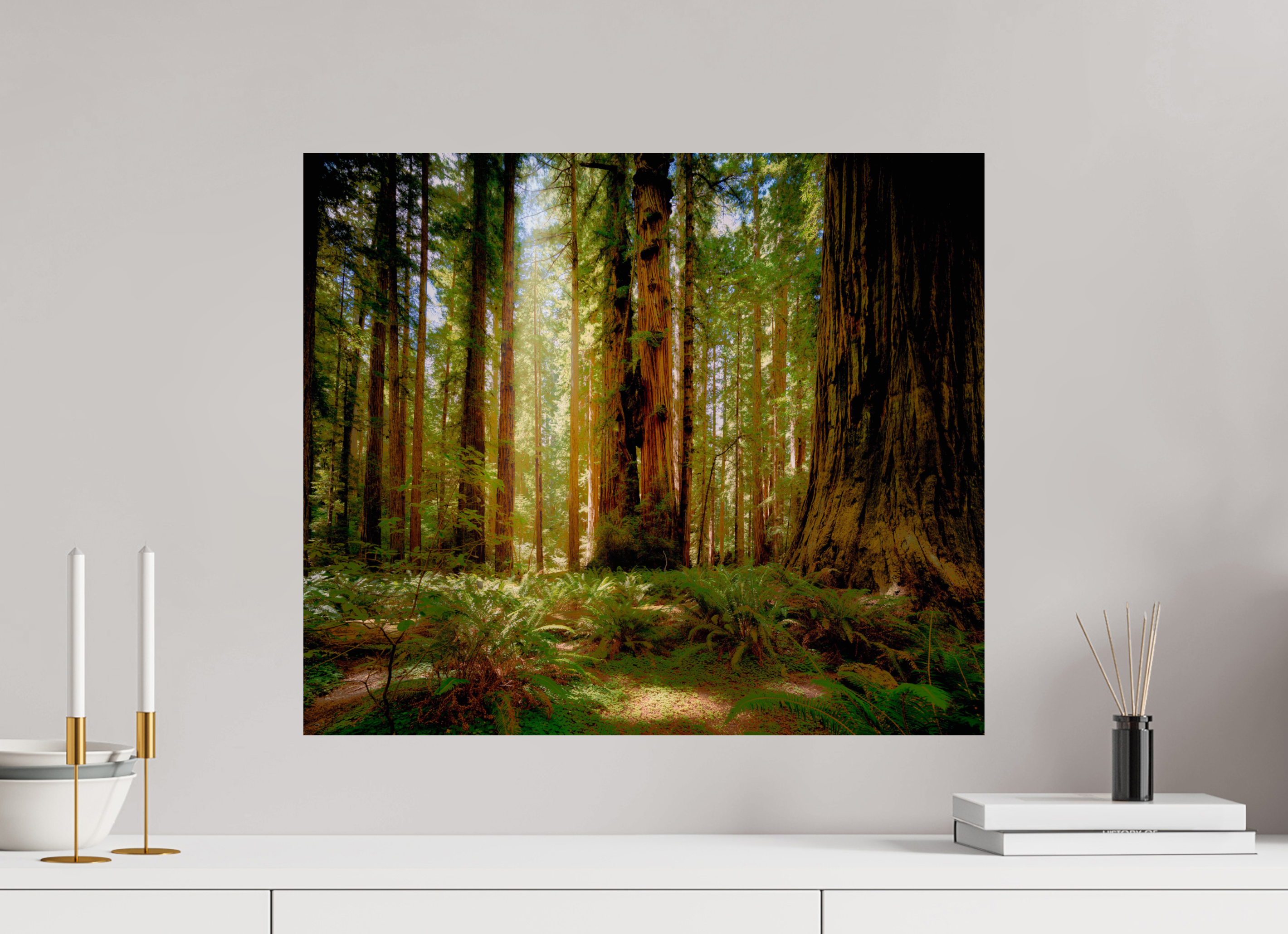 23.4 x 20″, Giclée Alu-Dibond Life & Light Beneath the Giants
