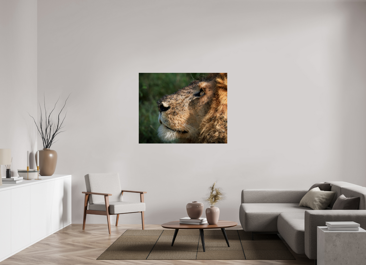 50 x 40″, Giclée Alu-Dibond The King of Most Beasts