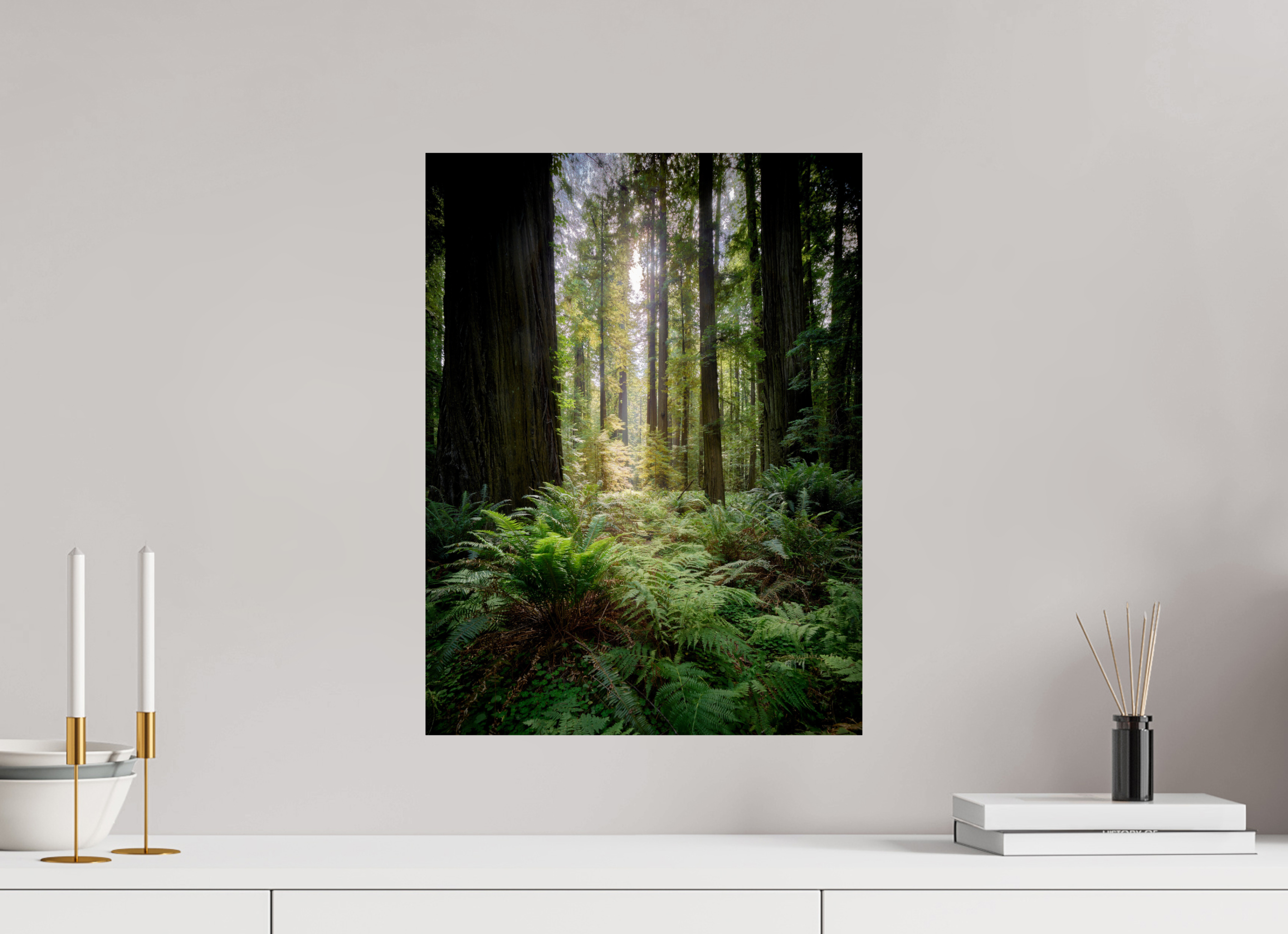 15 x 20″, Giclée Alu-Dibond Forest Light on Redwoods & Sword Ferns