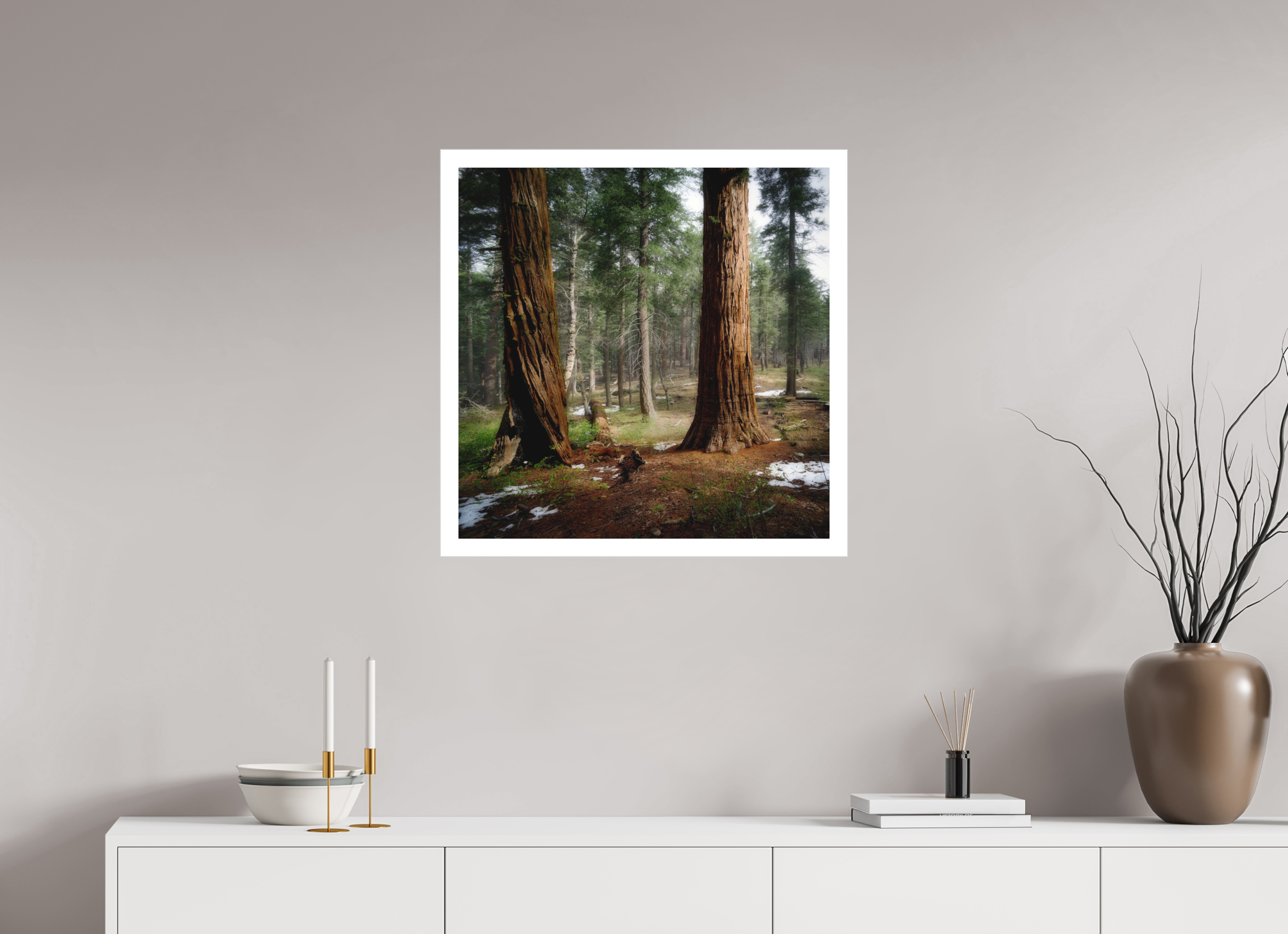 25 x 25″, Bonded Acrylic Mat + Silver Frame Northern Sentinels II: The Placer County Sequoias