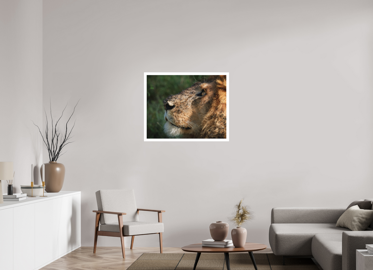 35 x 28″, Fine Art Bonded Acrylic The King of Most Beasts