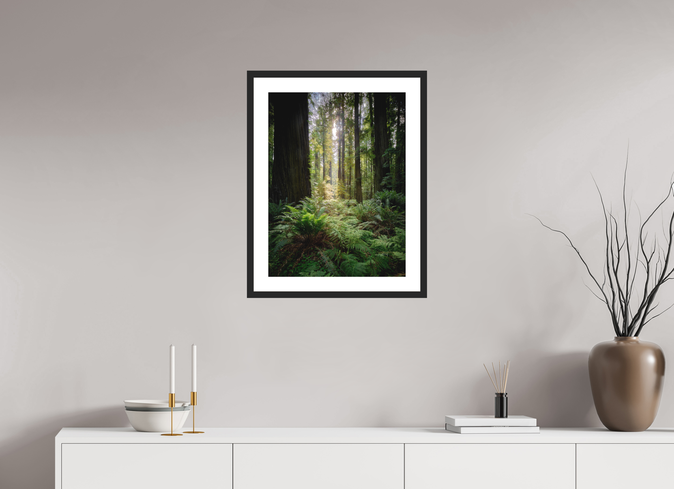 18 x 24″, Passe-Partout Black Frame Forest Light on Redwoods & Sword Ferns