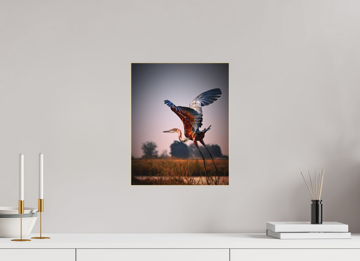 12 x 15″, Bonded Acrylic Gold Frame Goliath Heron Takes Flight on the Chobe River