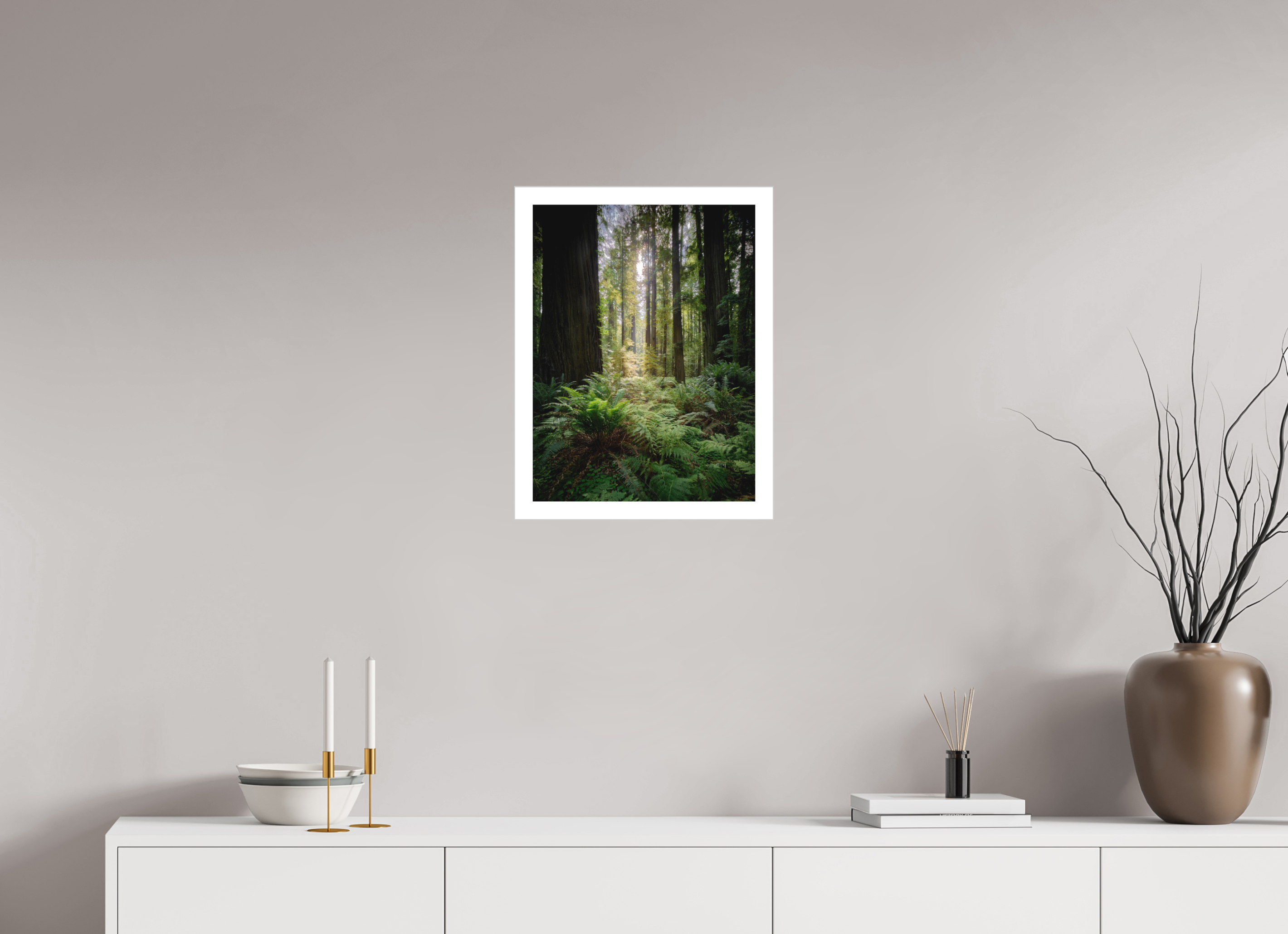 15 x 20″, Fine Art Bonded Acrylic Forest Light on Redwoods & Sword Ferns
