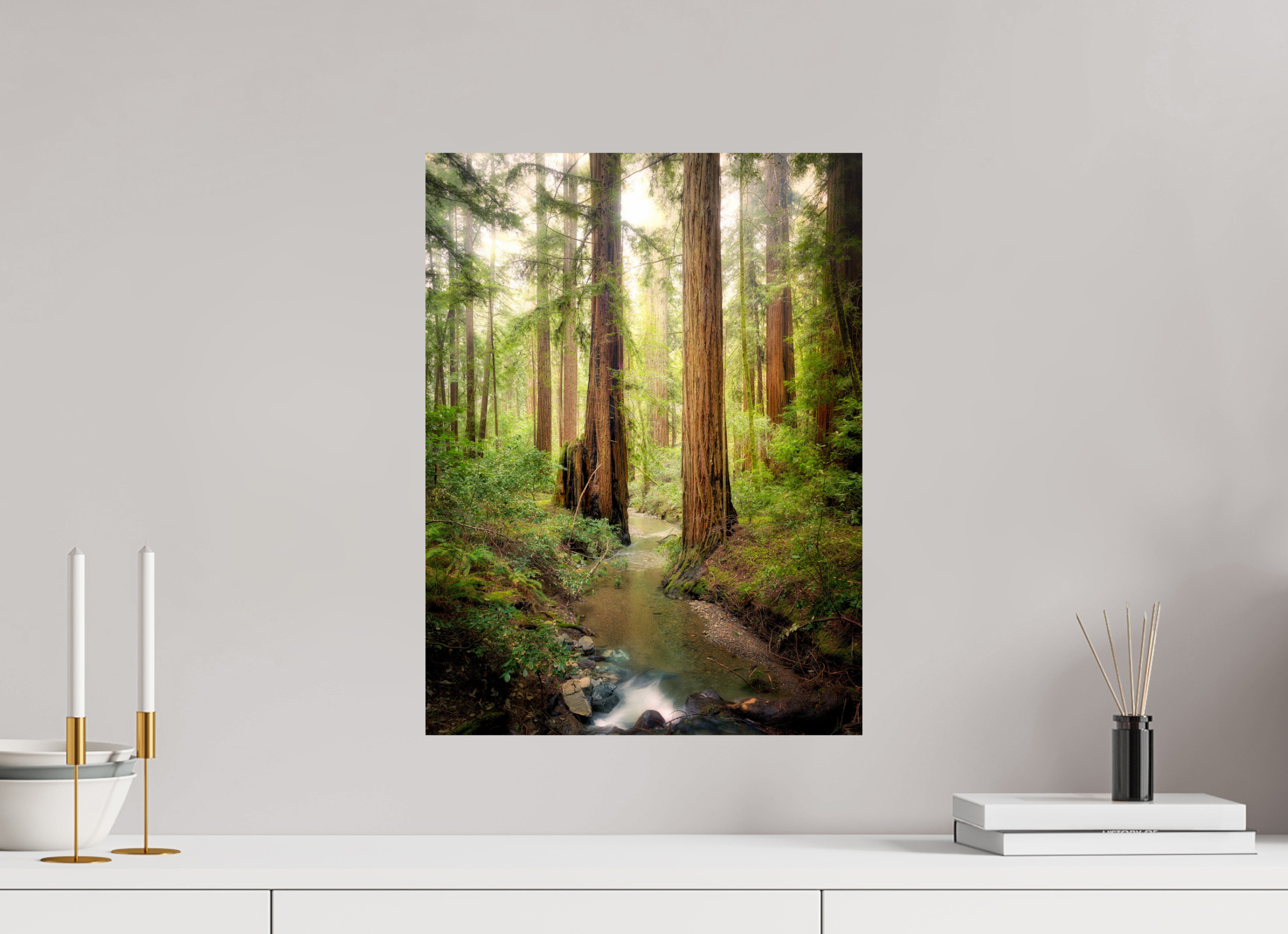 15 x 20″, Giclée Alu-Dibond Armstrong Woods III: Columnas