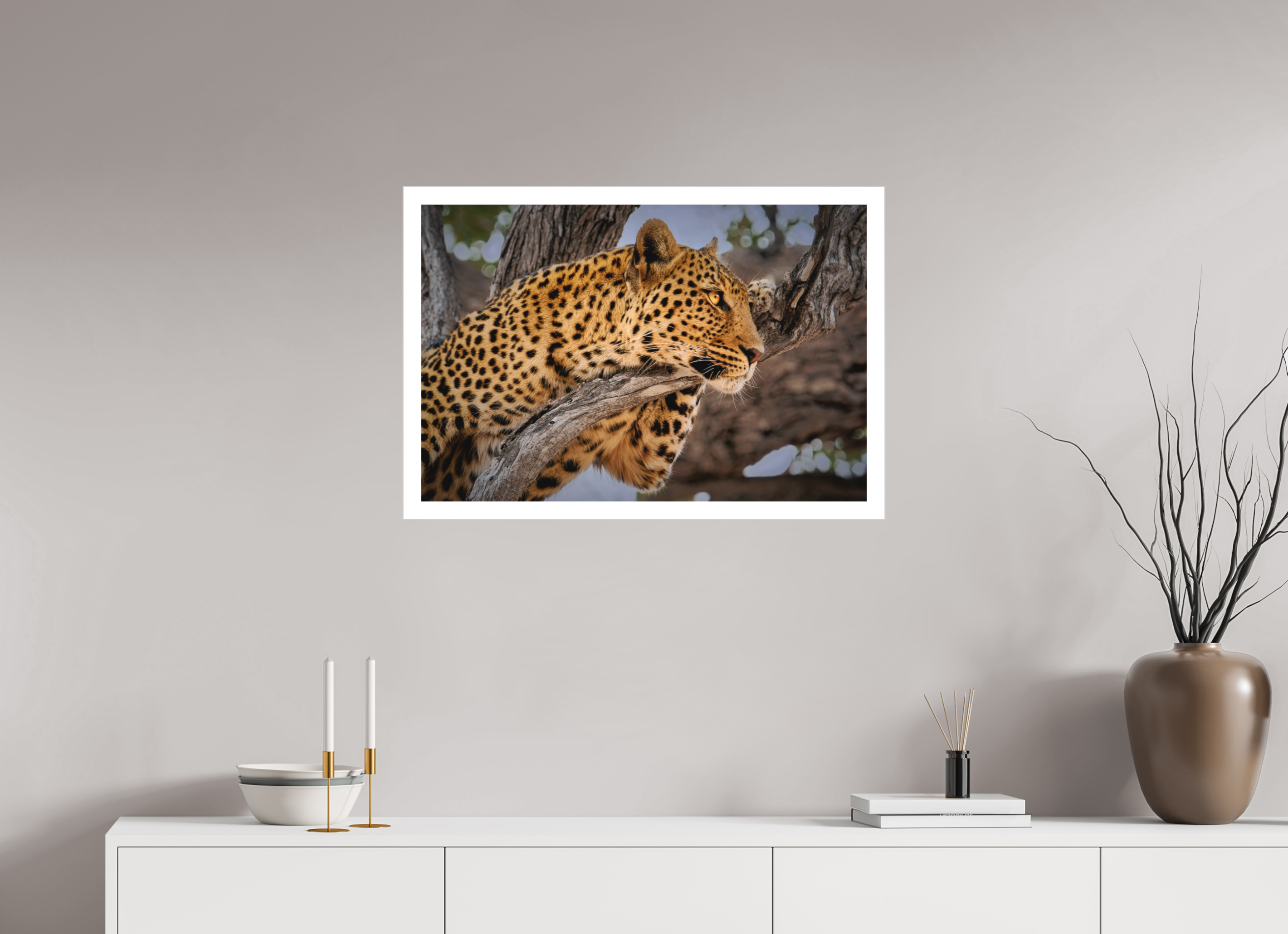 30 x 20″, Fine Art Bonded Acrylic Leopard Princess of Savute