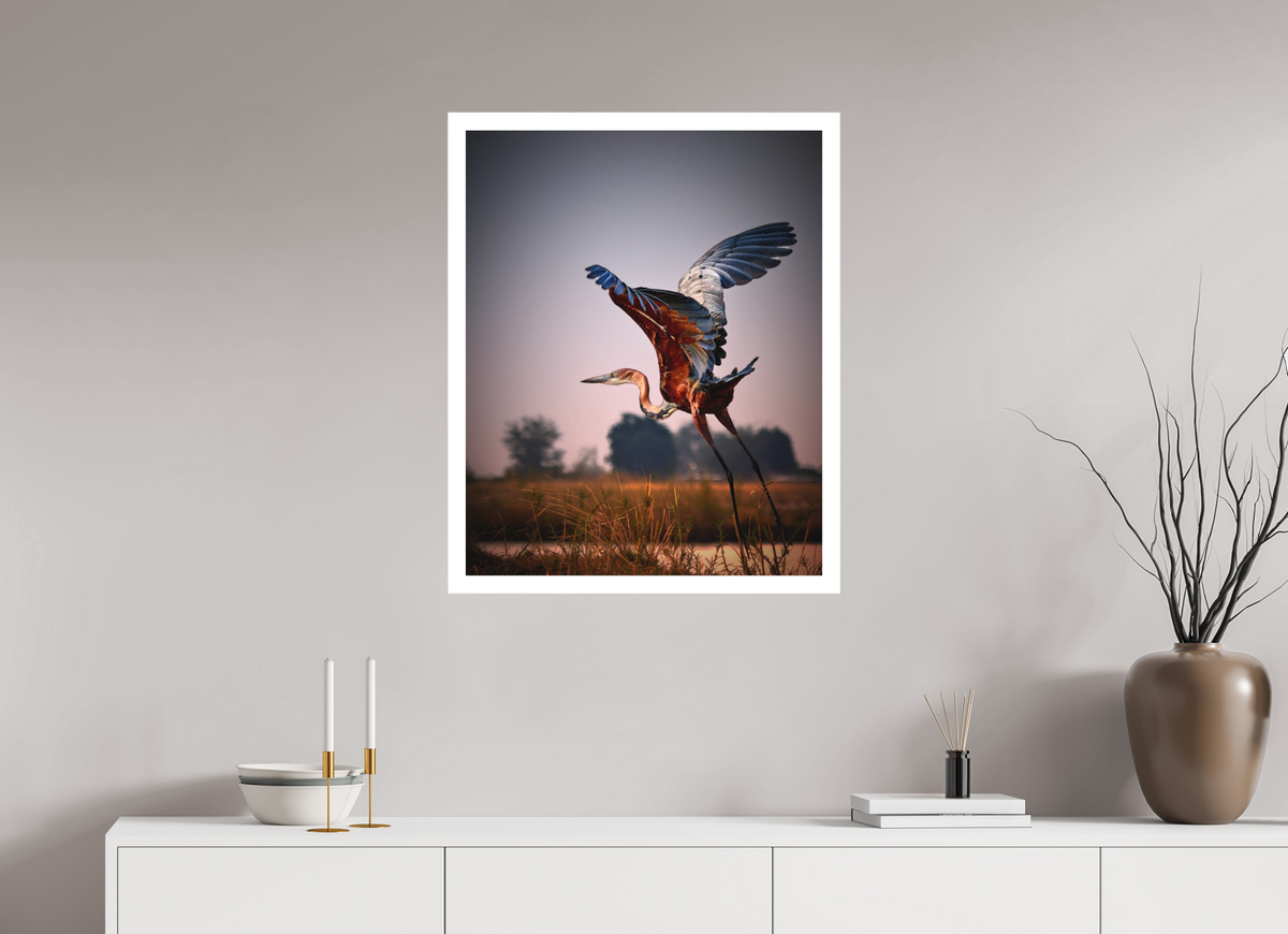 24 x 30″, Bonded Acrylic Mat + Silver Frame Goliath Heron Takes Flight on the Chobe River