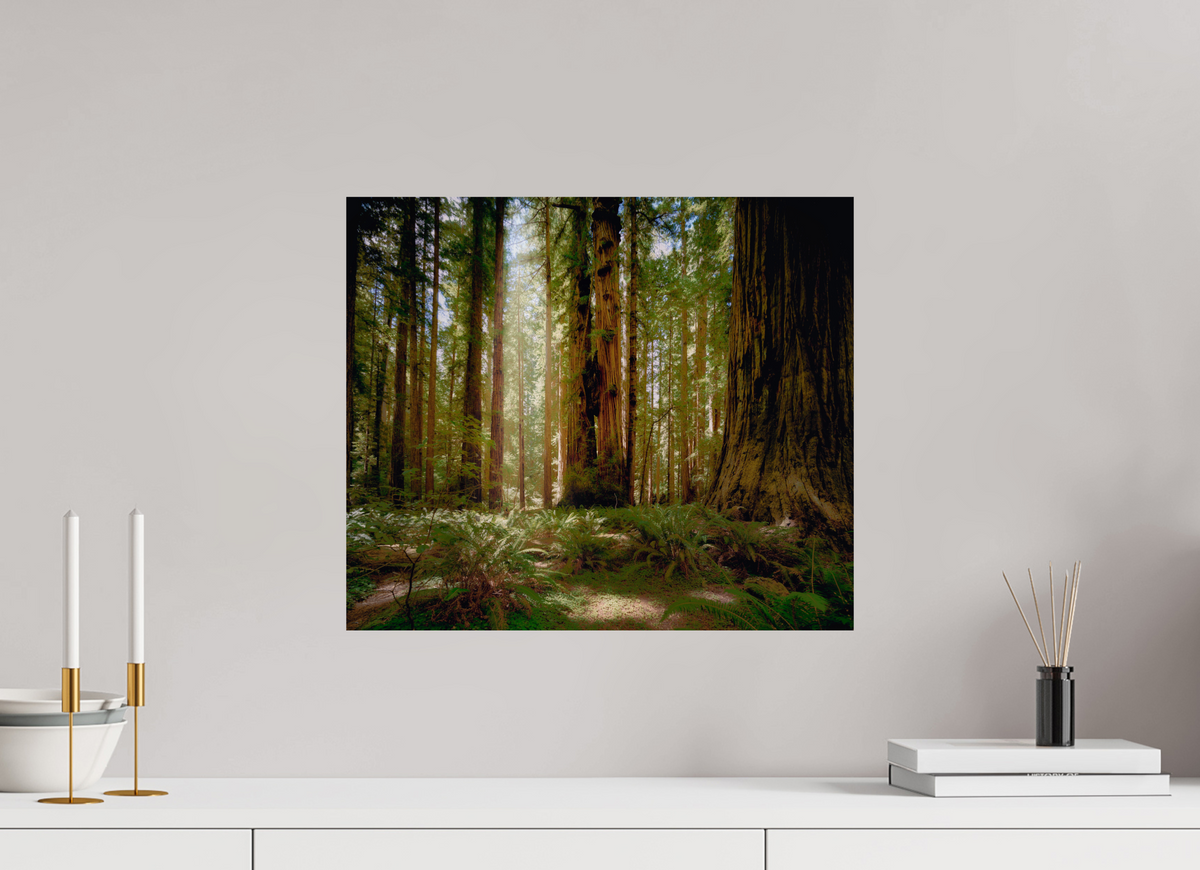 18.7 x 16″, Giclée Alu-Dibond Life & Light Beneath the Giants