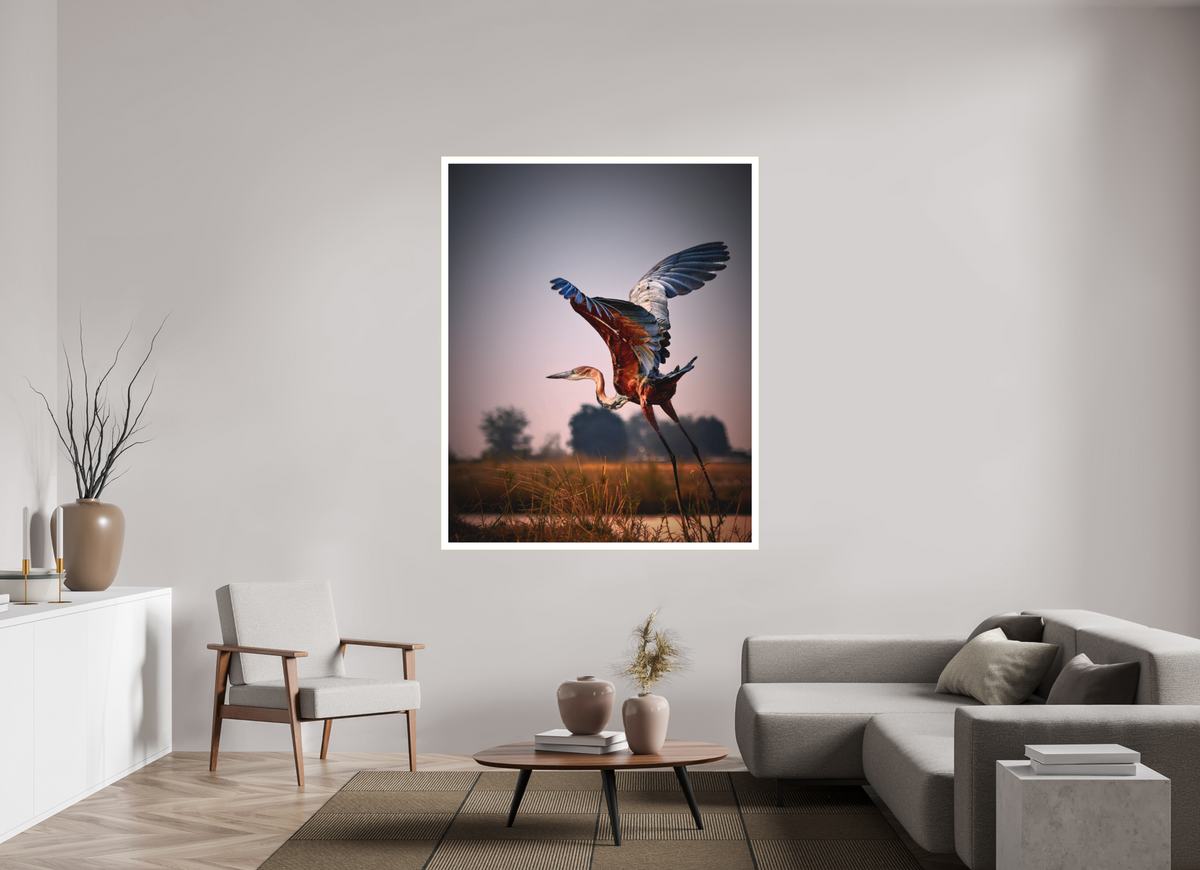 51 x 63.7″, Bonded Acrylic Mat + Gold Frame Goliath Heron Takes Flight on the Chobe River