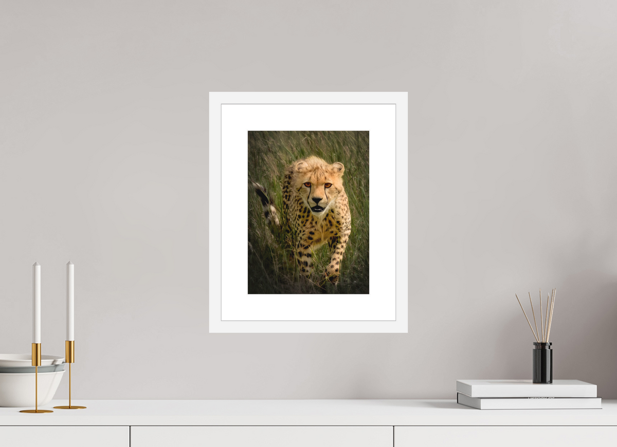 9 x 12″, Passe-Partout White Frame Stalking Cheetah